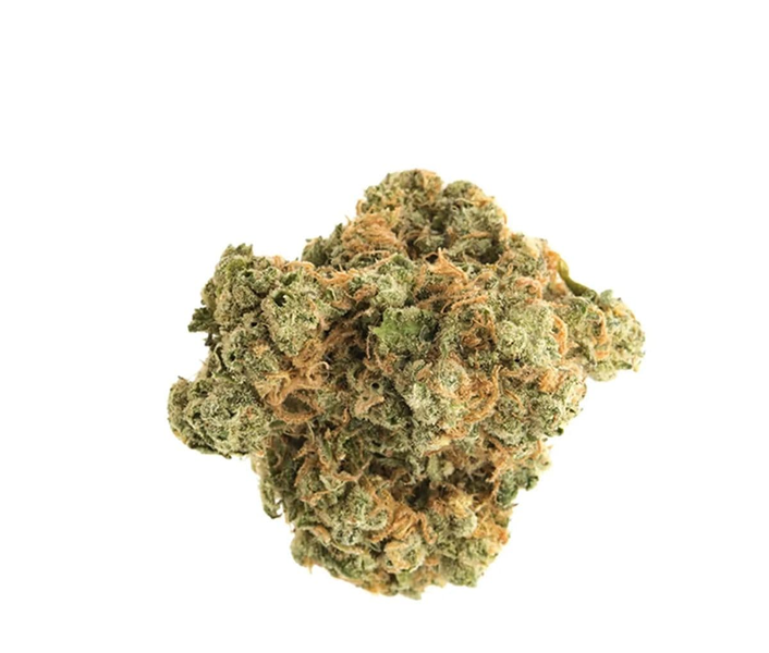Aurora Typ 1 - Island Sweet Skunk Aurora Typ 1 - Island Sweet Skunk