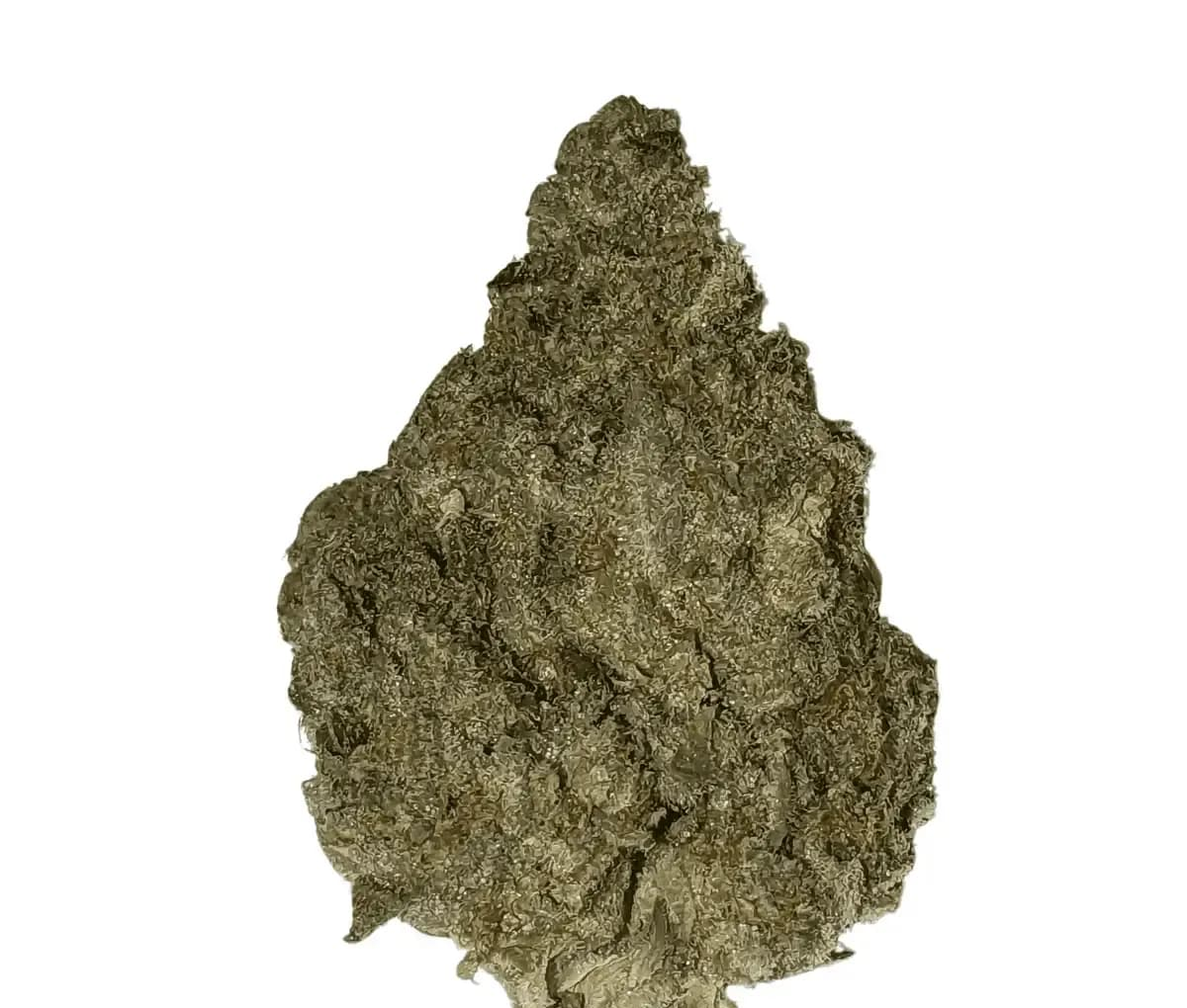 Demecan Core Horizon 27:01 Lava Cake Demecan Core Horizon 27:01 Lava Cake