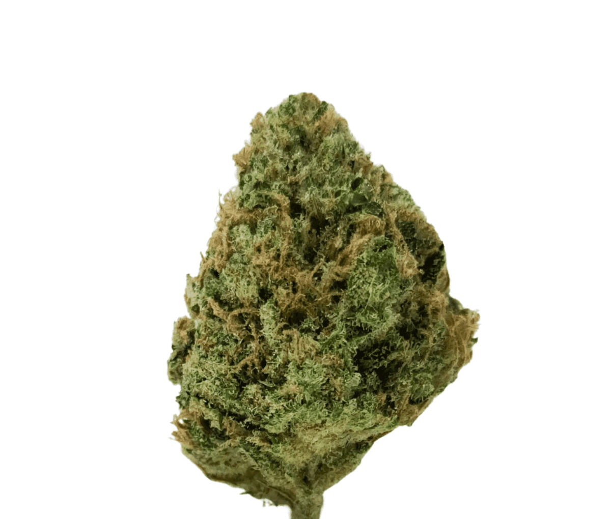 avaay Signature 25/1 HYP - Hyperion