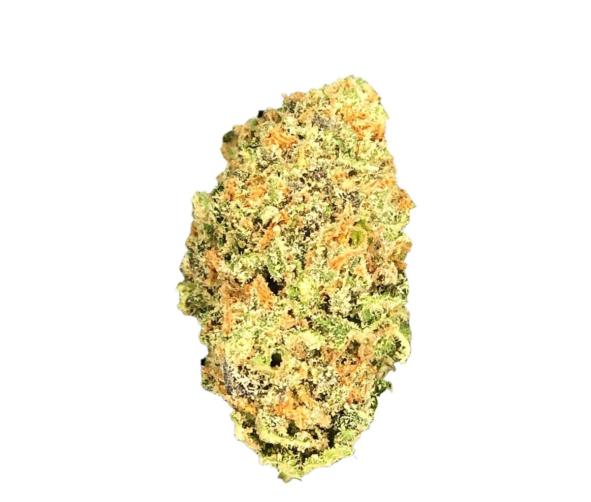 Demecan HS Light Drop - Santa Maria Golden x C99 Demecan HS Light Drop - Santa Maria Golden x C99