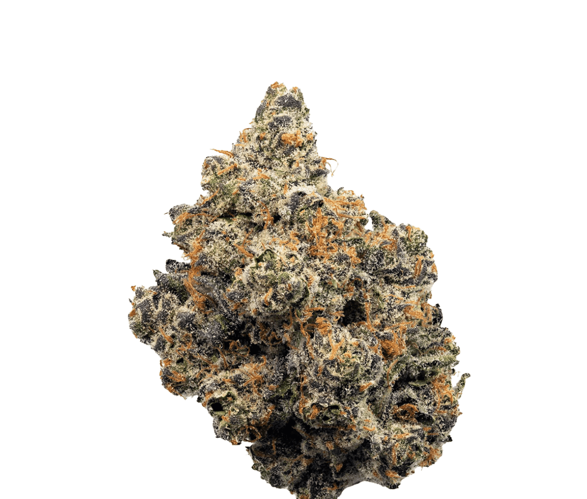 MGF PG 18/1 - Peppermint Guava