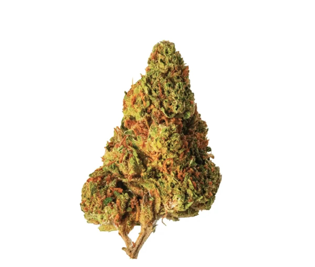 Herbasana Salsa Lover 20:01 - Cosmic Soda Herbasana Salsa Lover 20:01 - Cosmic Soda