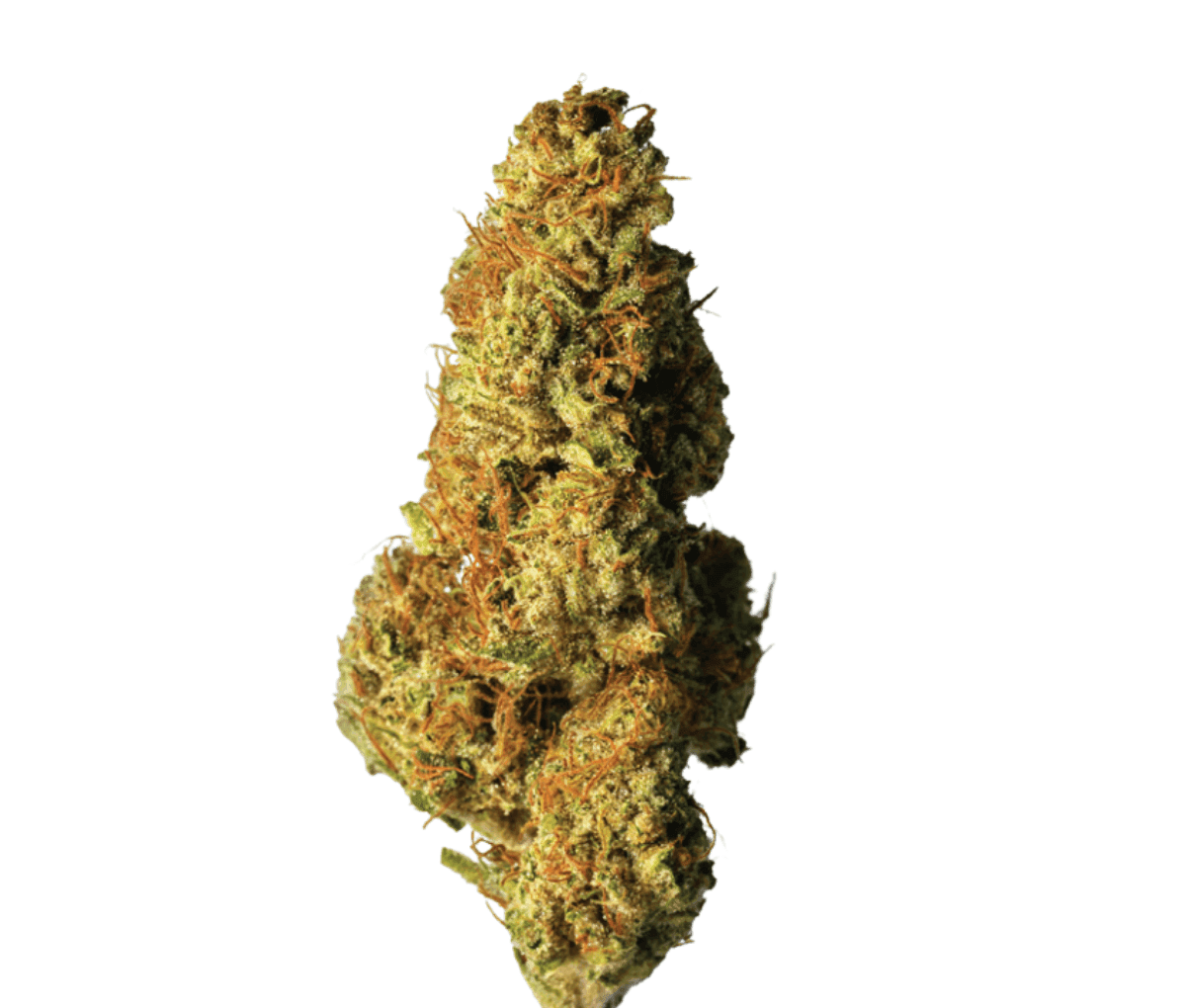 Herbasana Colombiana 18:01 - Apple Soda Herbasana Colombiana 18:01 - Apple Soda