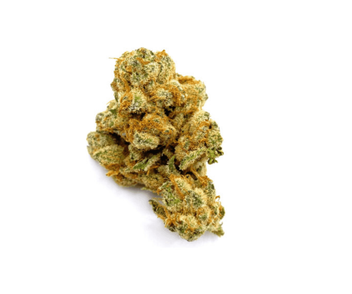 Demecan Typ 2 - Orange Velvet Demecan Typ 2 - Orange Velvet