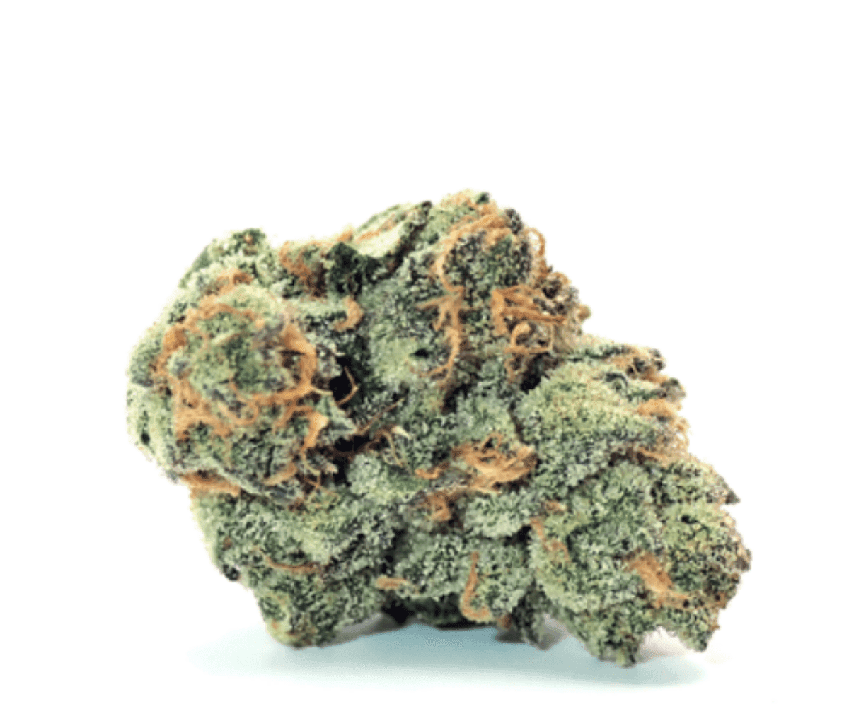 Demecan CORE OZK x CC 24:01 - OZ Kush x Coffin Candy