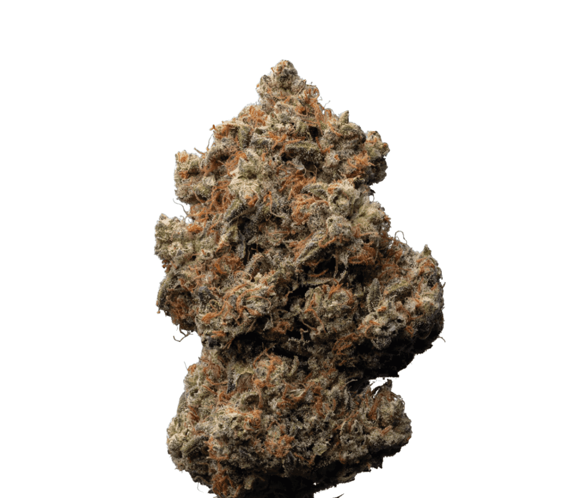 enua 30/1 ZKM CA - Zkittlez Kushmints