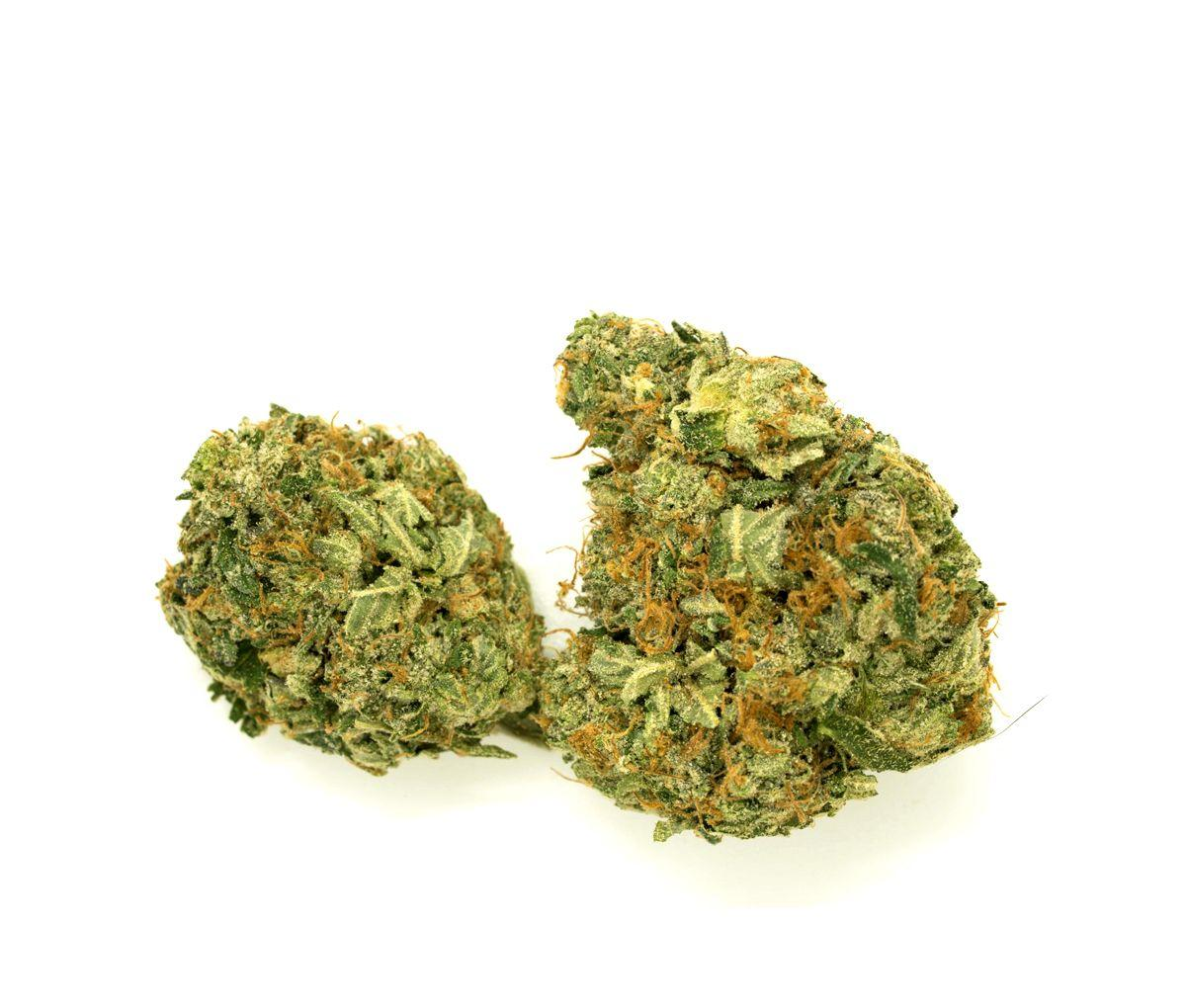 IMC THC22 T 01 - Hindu Kush IMC THC22 T 01 - Hindu Kush