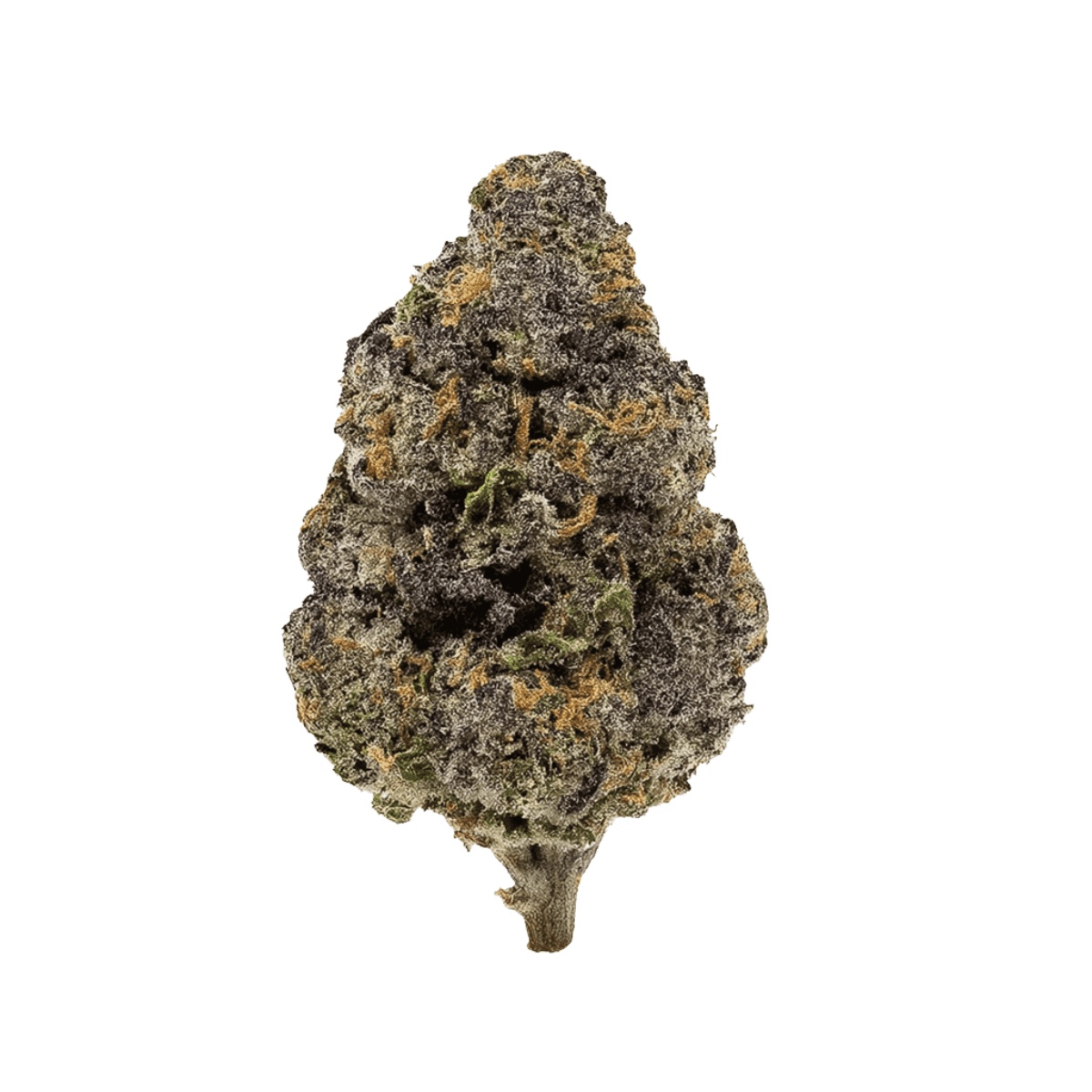 Cannamedical Indica Ultra ES - Papaya Boom I Cannazen Cannamedical Indica Ultra ES - Papaya Boom I Cannazen