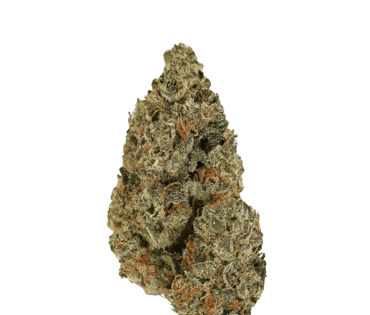 Luana 20/1 - Grape LA