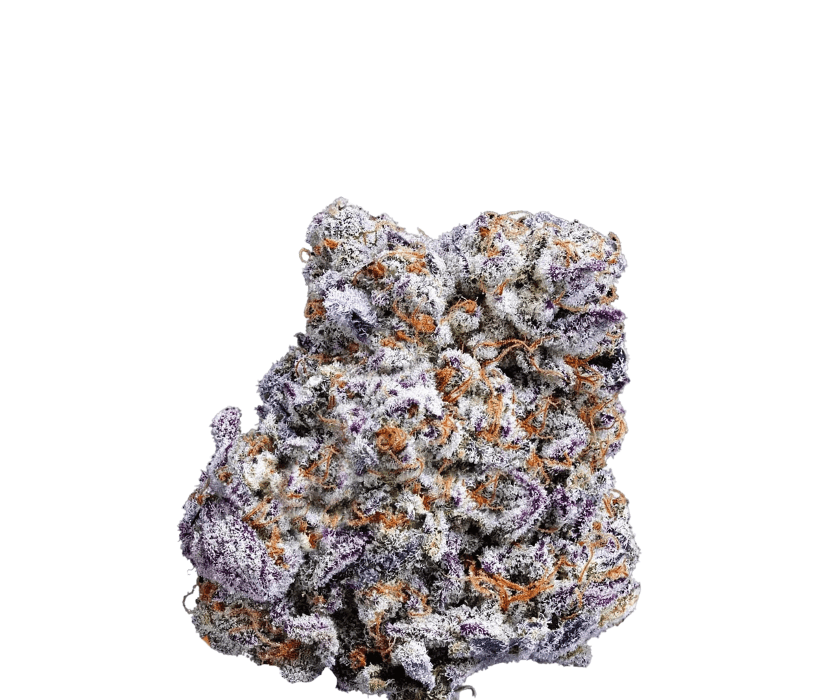 Luana 20/1 OG - Watermelon OG | Cannazen Luana 20/1 OG - Watermelon OG | Cannazen