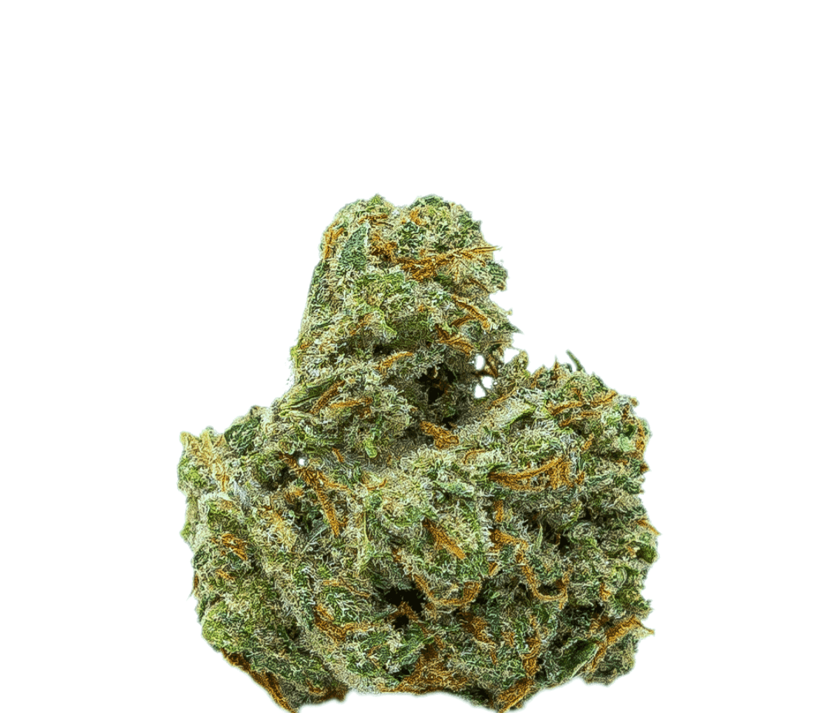 Remexian WTF 18/1 MIC SCD Sour Cherry Diesel