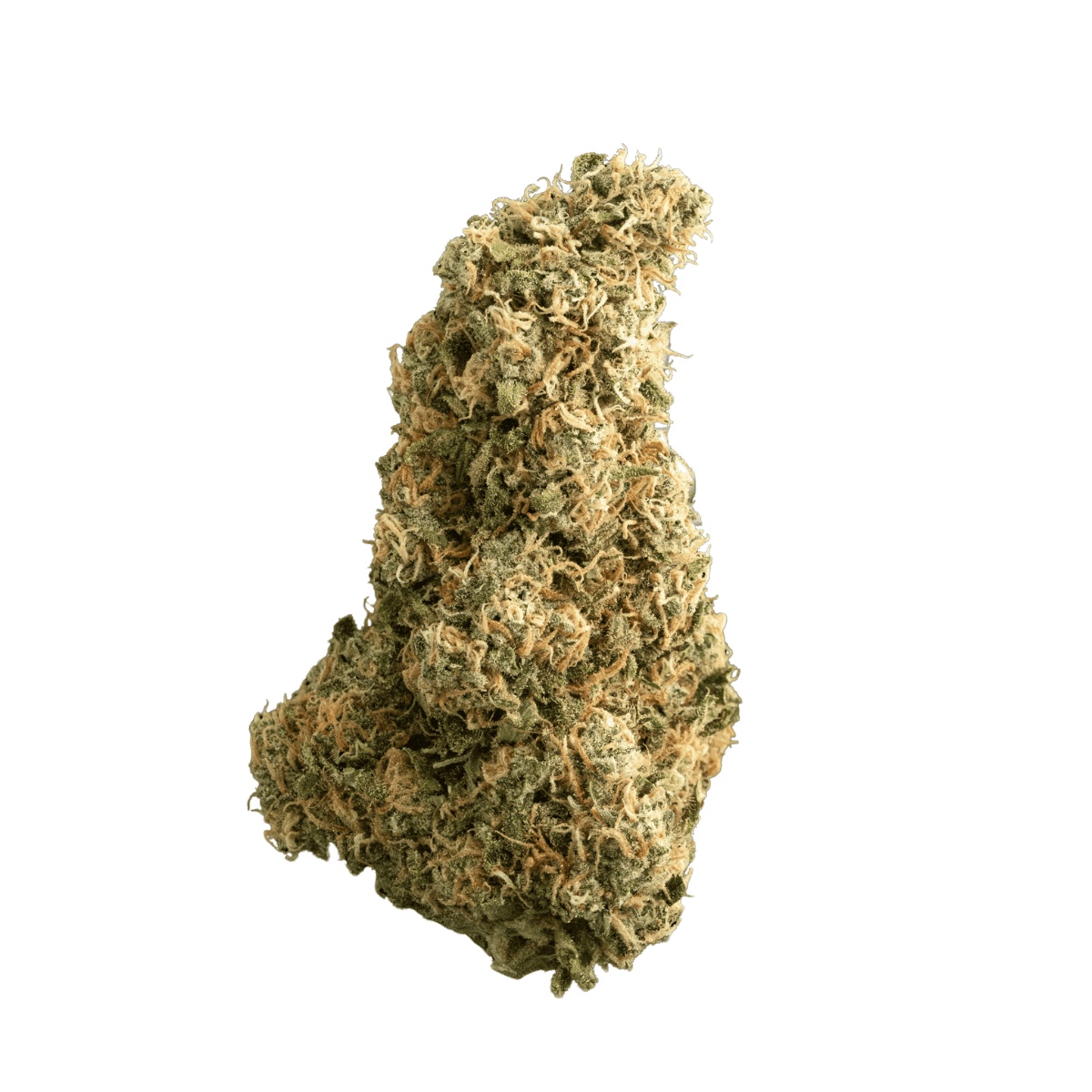 Sinceritas Sativa Verum 24/1 BG - Blueberry Gelato I Cannazen Sinceritas Sativa Verum 24/1 BG - Blueberry Gelato I Cannazen