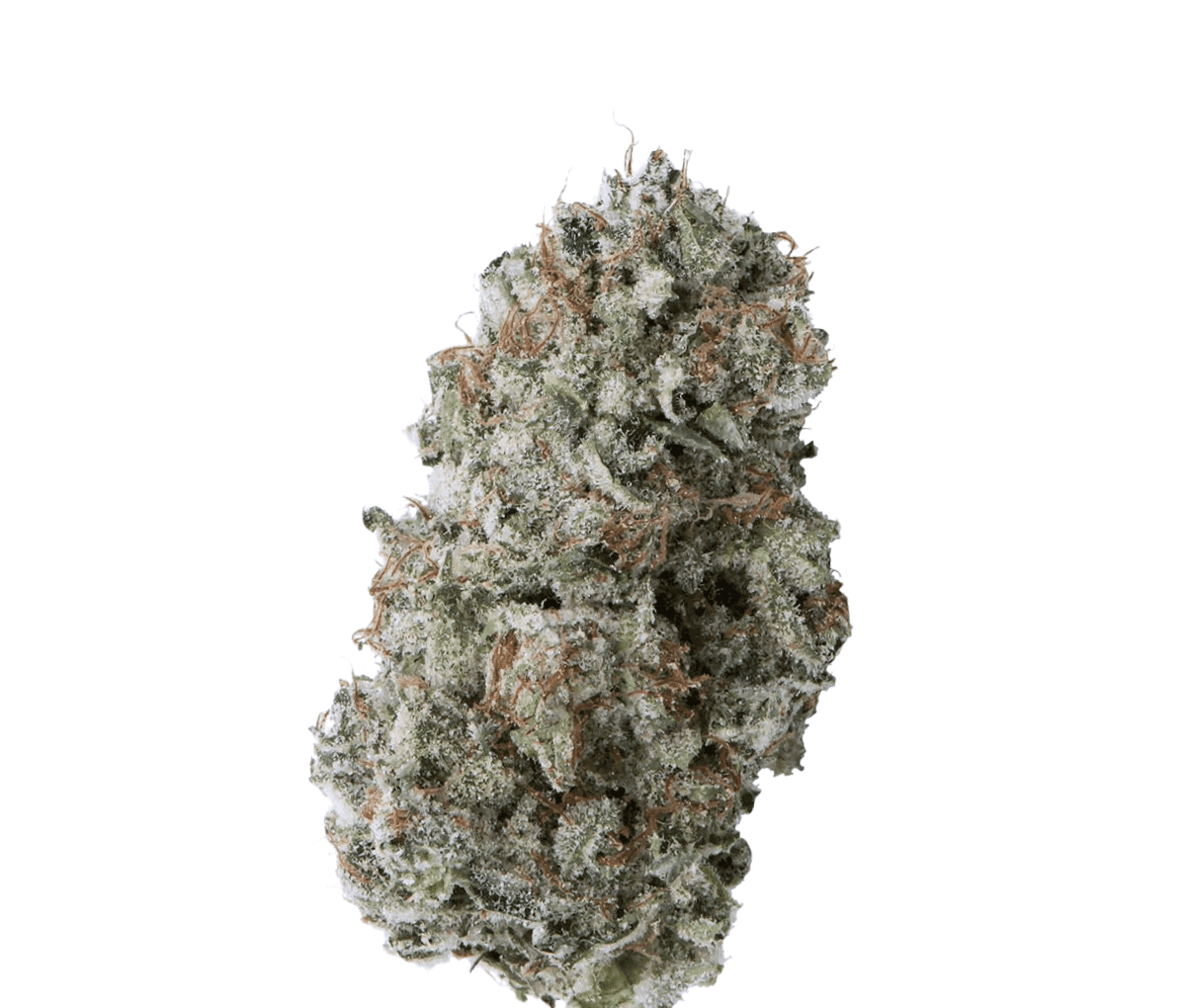IMC AGD THC25 - Afghani Drifter