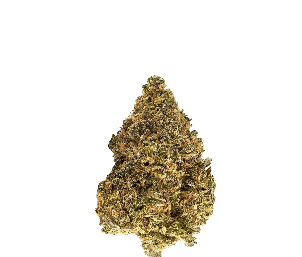 TRUU GT 27/01 - Skull Cap