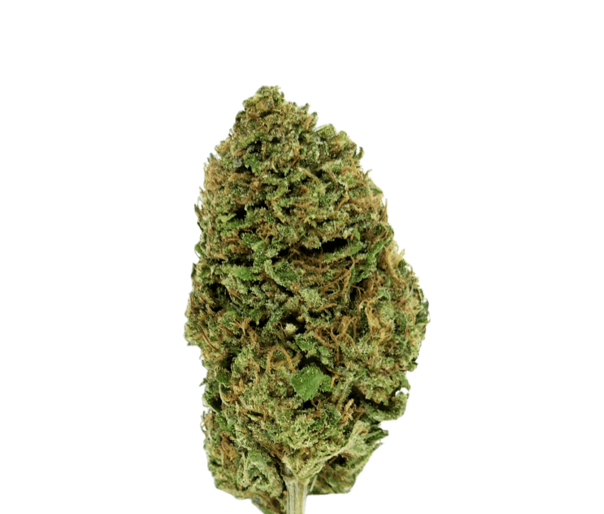 IMC THC25 E6 - Royal OG IMC THC25 E6 - Royal OG