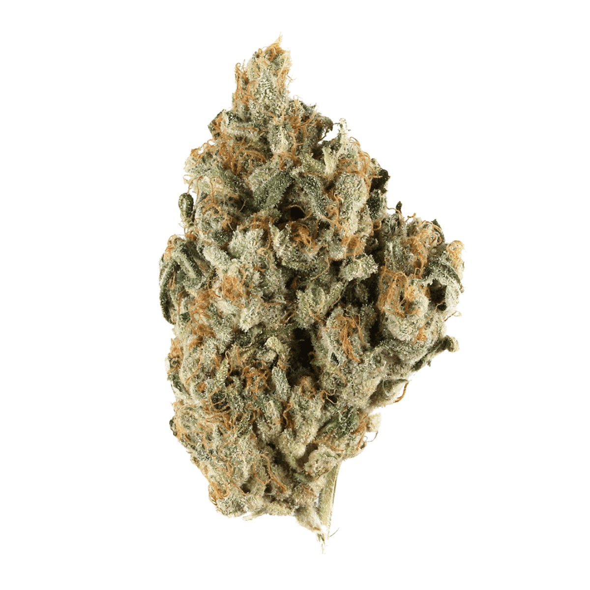 Cannamedical Indica Classic AU - El Jefe I Cannazen Cannamedical Indica Classic AU - El Jefe I Cannazen