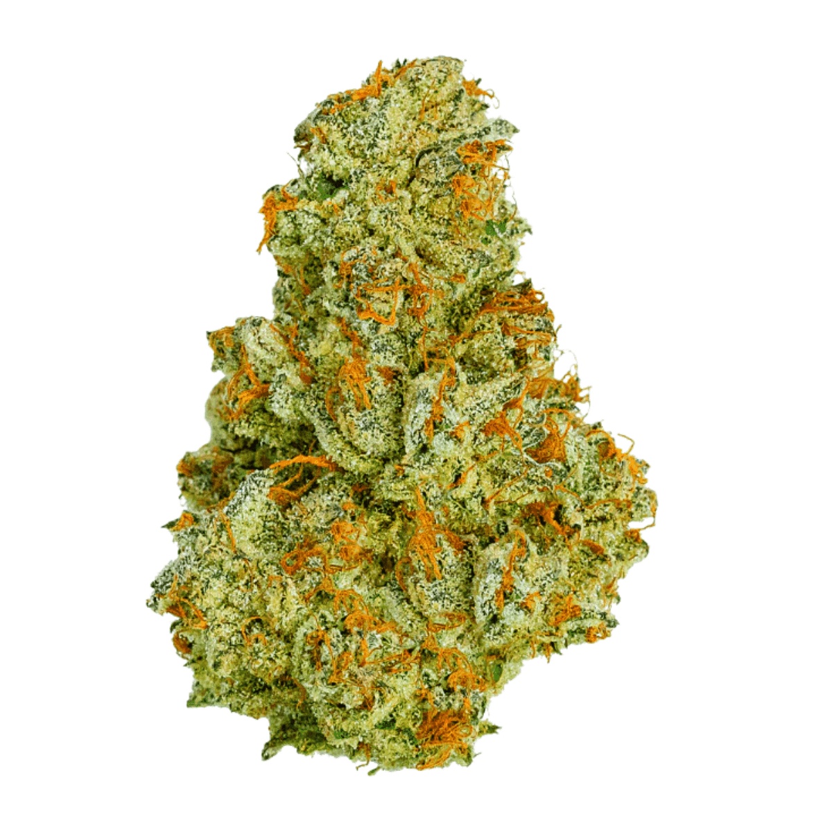 Medical Saints 21/1 USR - Ultra Sour I Cannazen