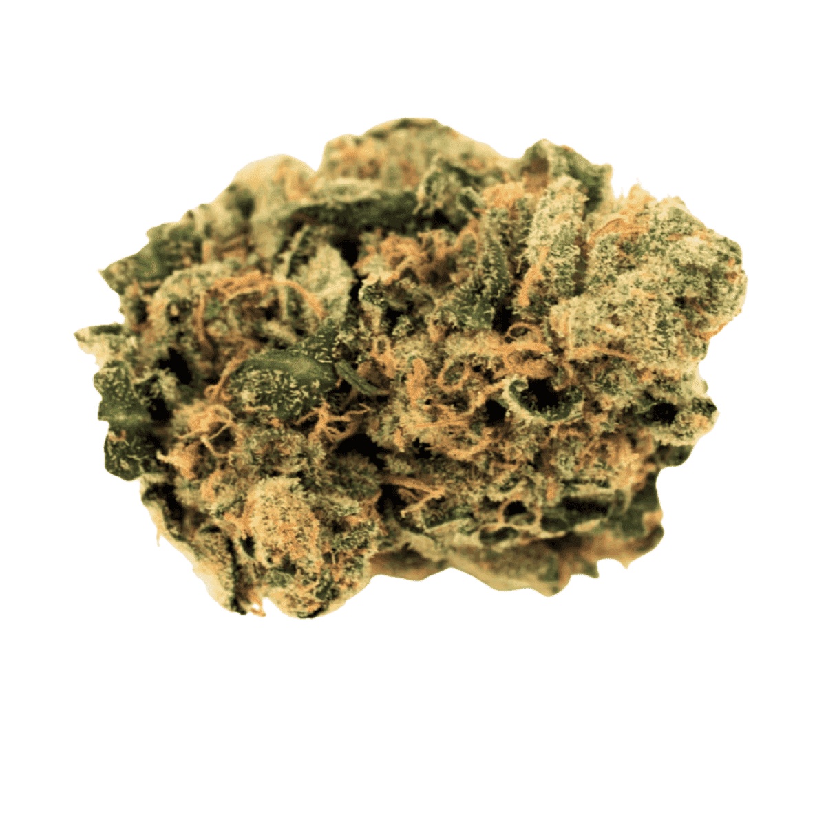 Cannamedical Indica Forte DK - Cookies Kerosene Punch I Cannazen