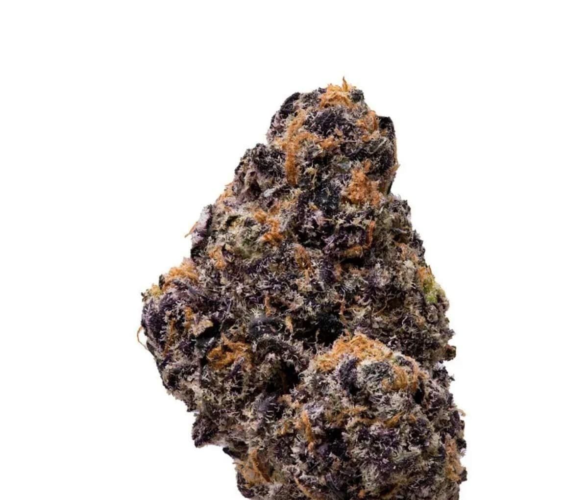 420 Evolution 27/1 CA FRG Frosted Gumbo 420 Evolution 27/1 CA FRG Frosted Gumbo