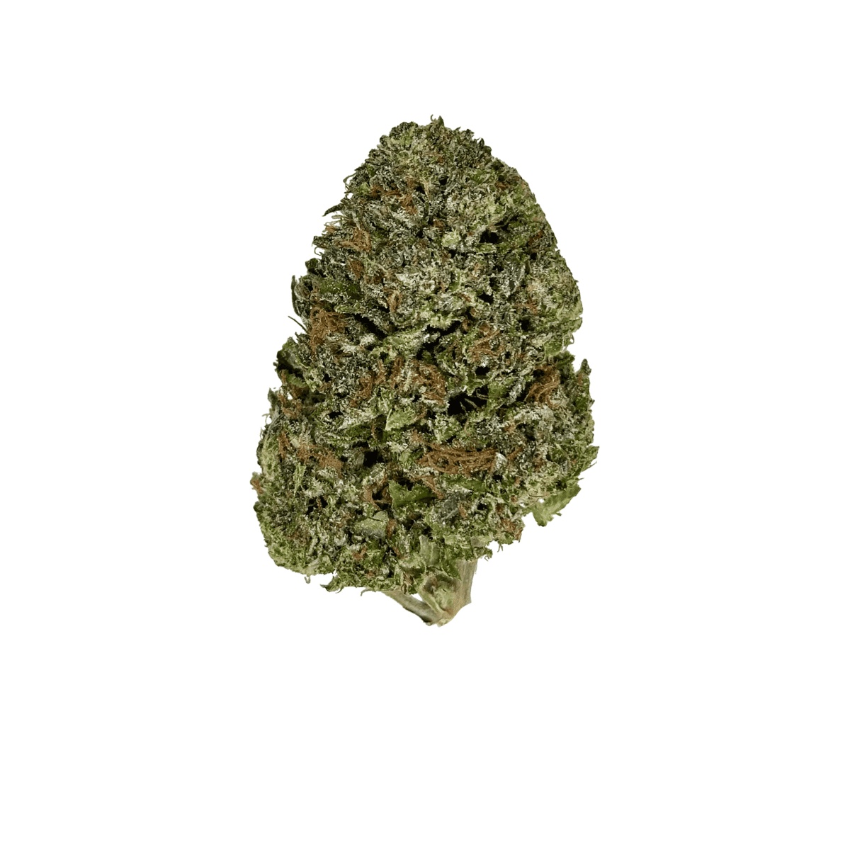 Cannamedical Hybrid ultimate SF - Afghan Bubba Kush I Cannazen Cannamedical Hybrid ultimate SF - Afghan Bubba Kush I Cannazen