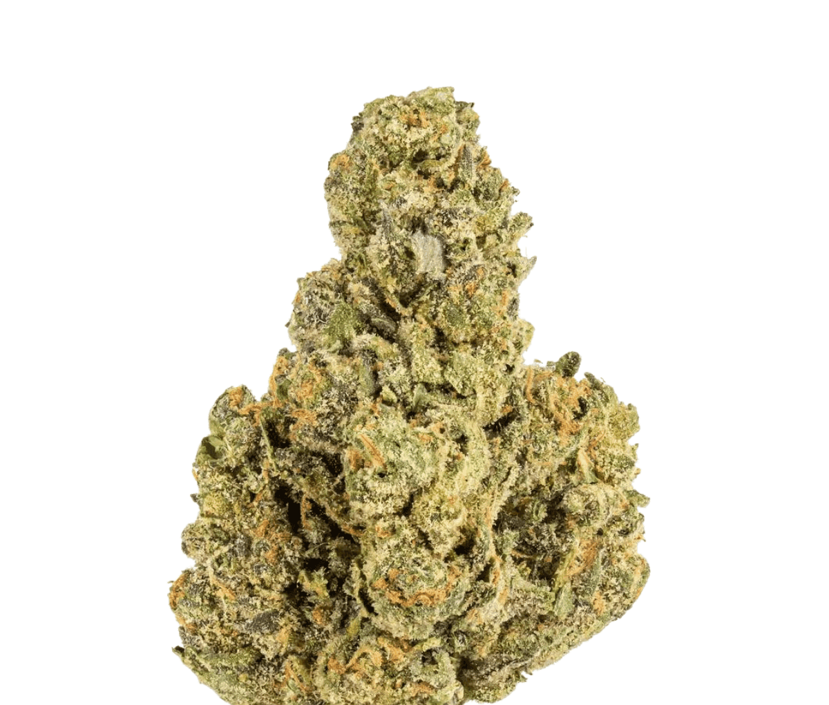 Cookies 22/1 A&B - Apples & Bananas