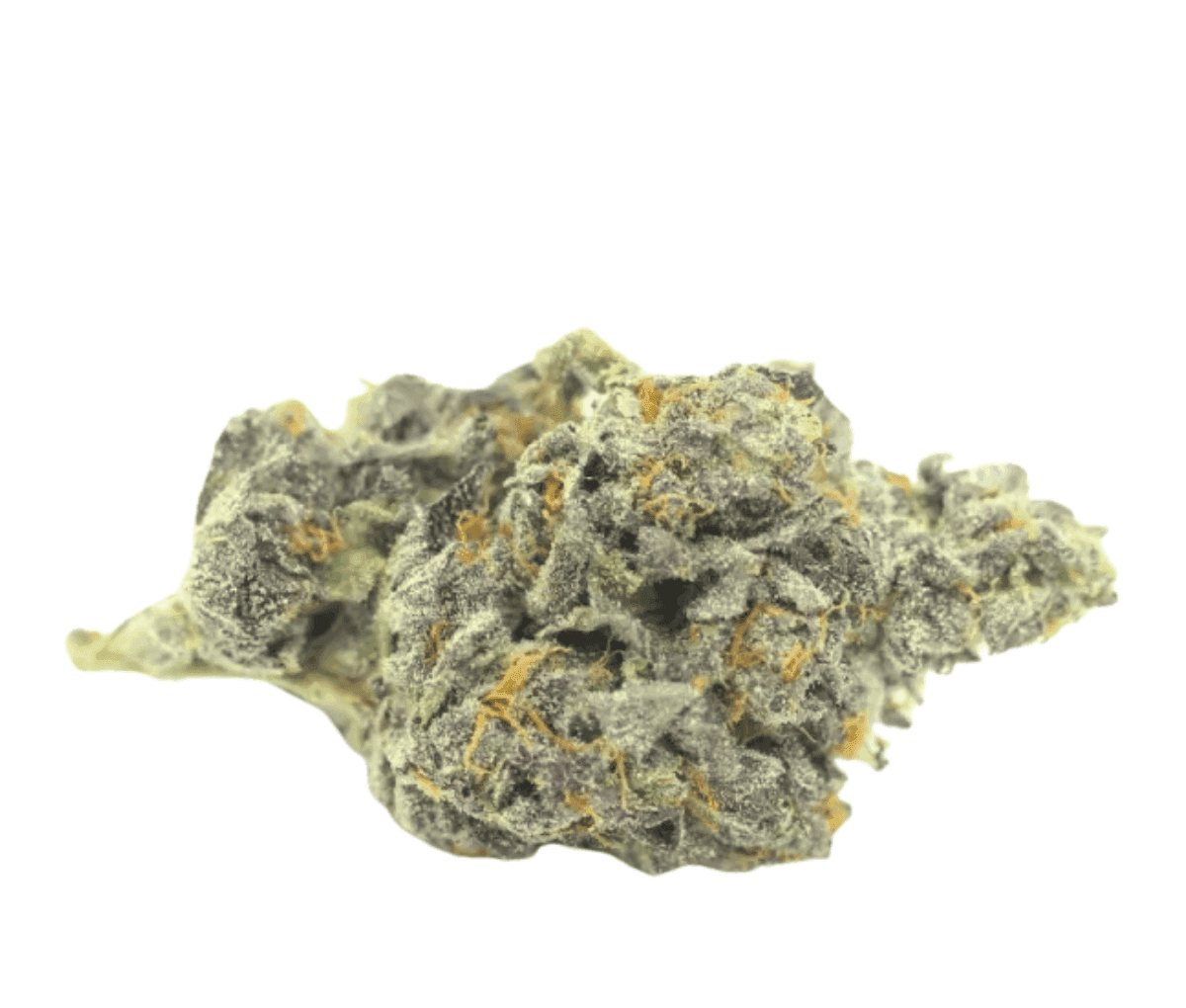 420 Compound 30/1 RPV - Rose Gold Pave