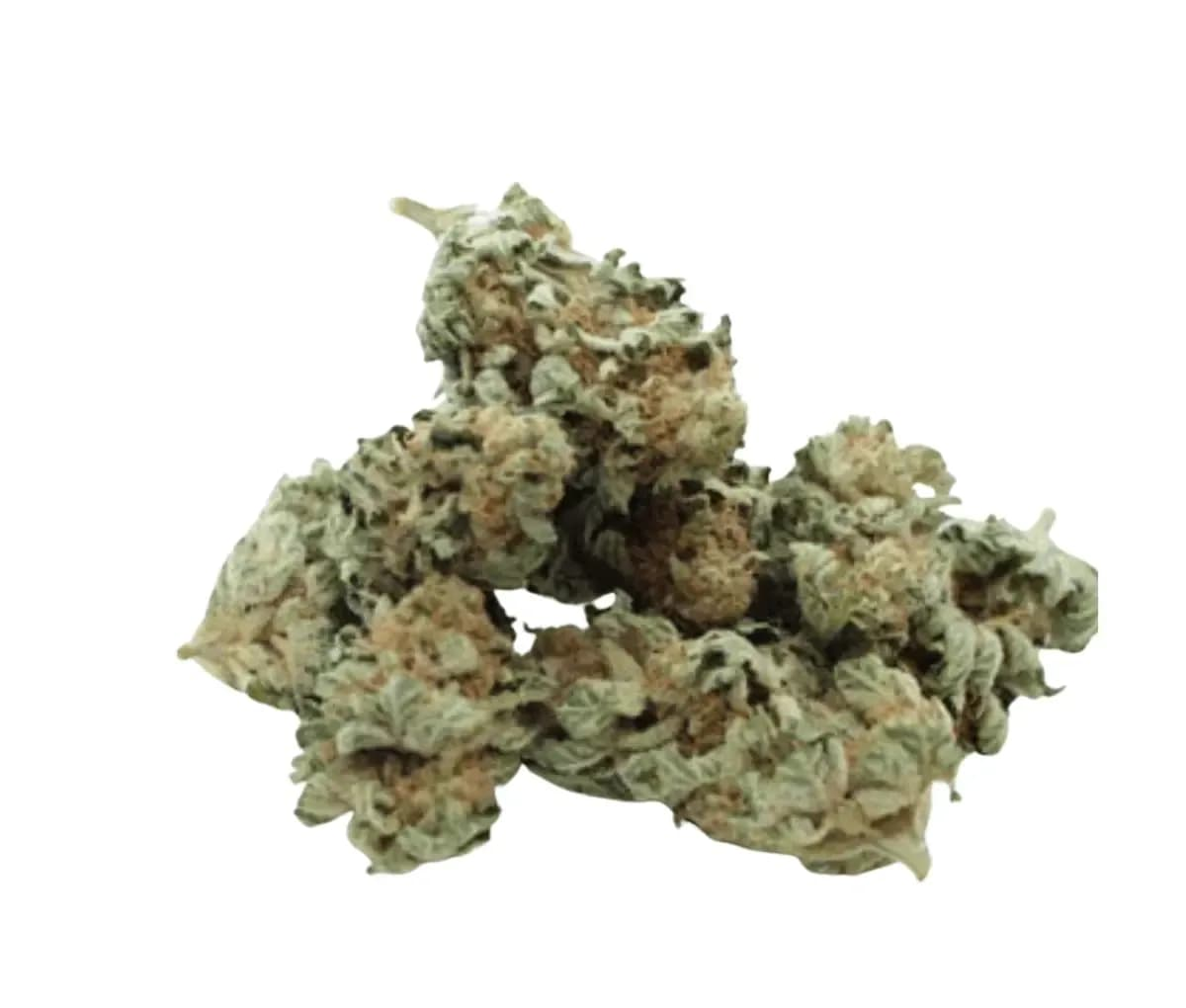 Tweed 19/1 - Gelato 33