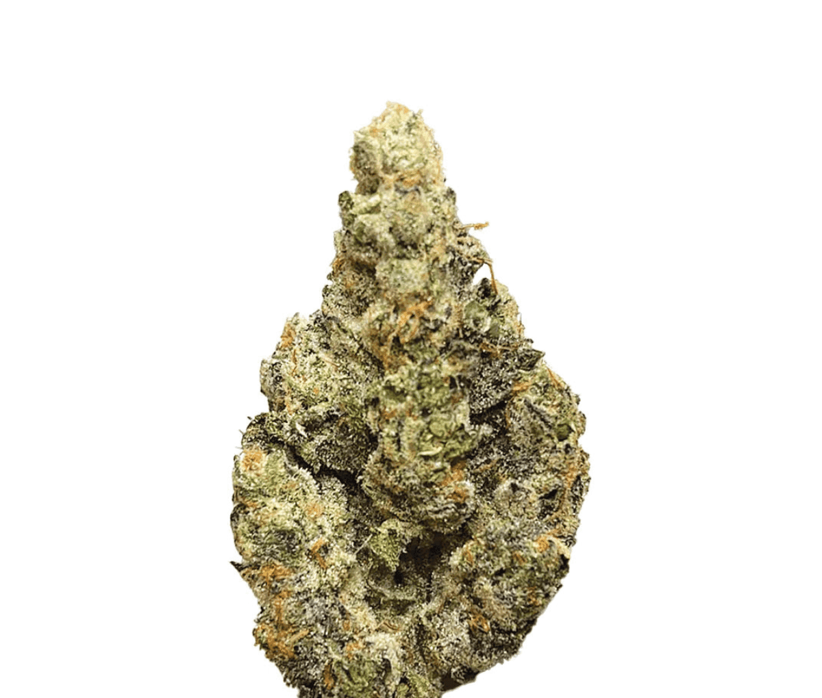 Avaay 28/1 AHC - Amnesia Haze Cake