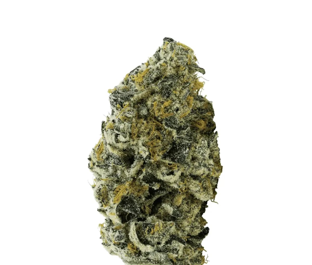 avaay 34/1 JFP - Jet Fuel Pie