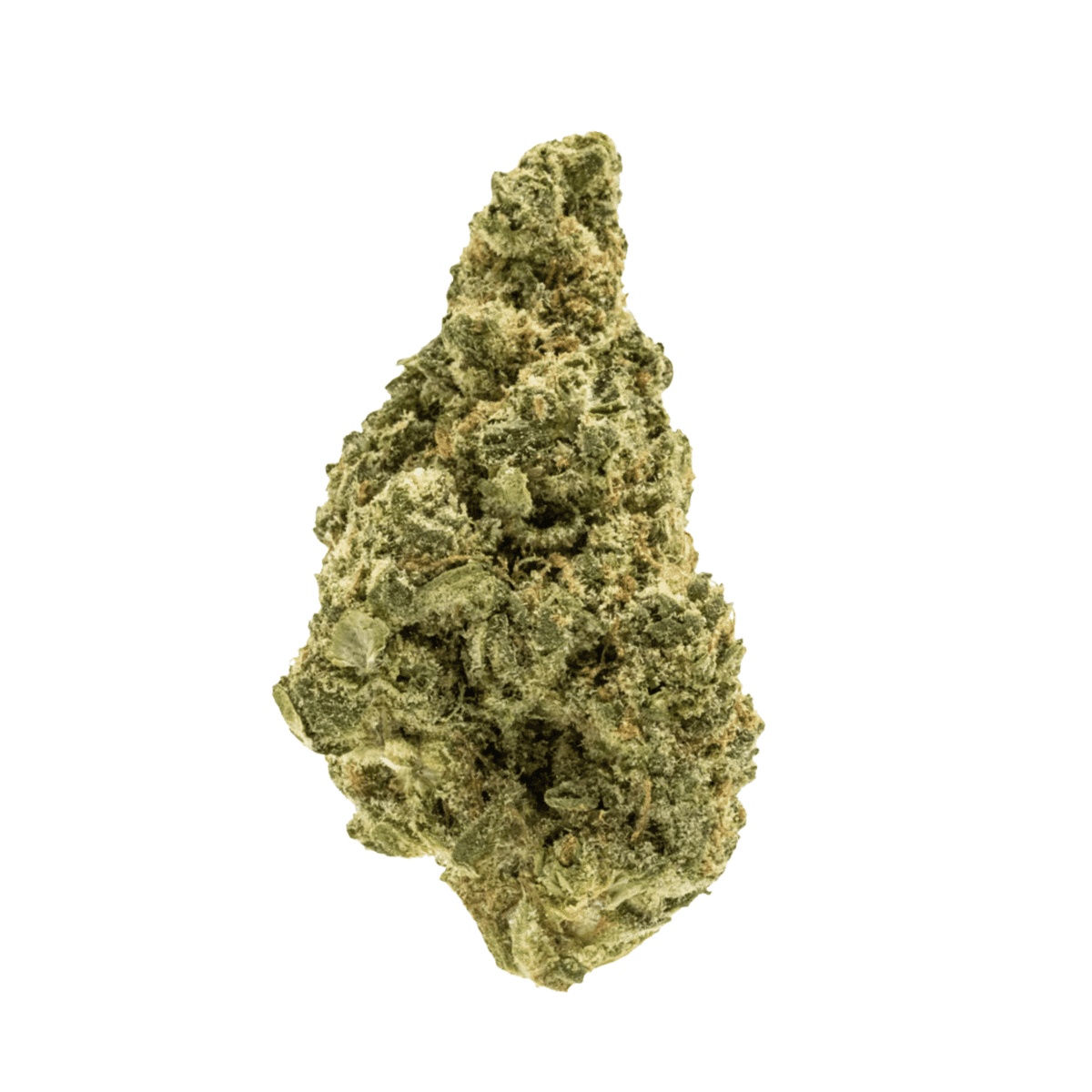 Luana 14/1 White - White Herer I Cannazen Luana 14/1 White - White Herer I Cannazen