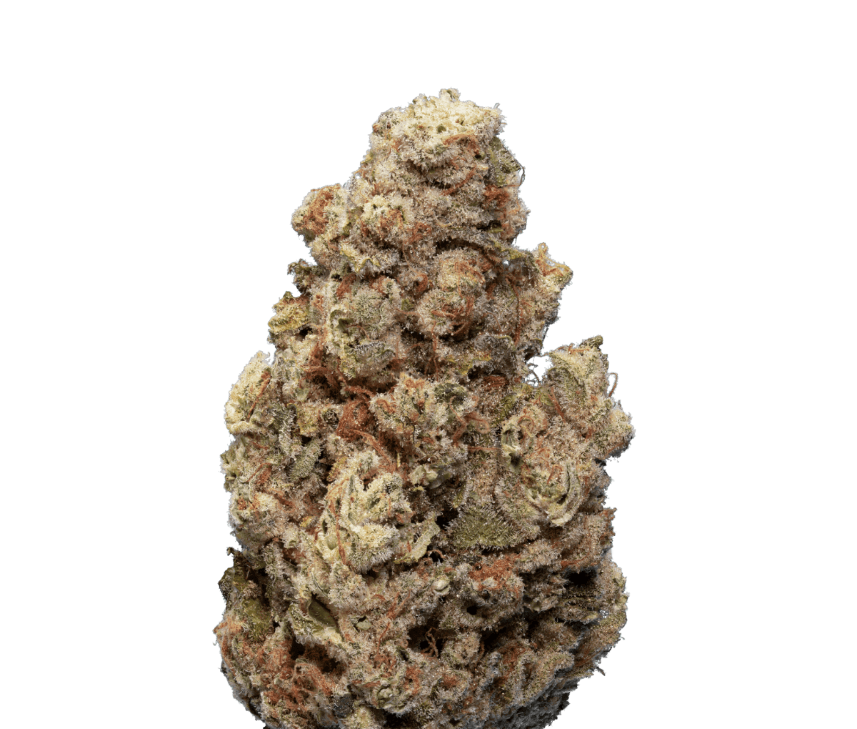 enua 27/1 CCK CA - Cold Creek Kush enua 27/1 CCK CA - Cold Creek Kush