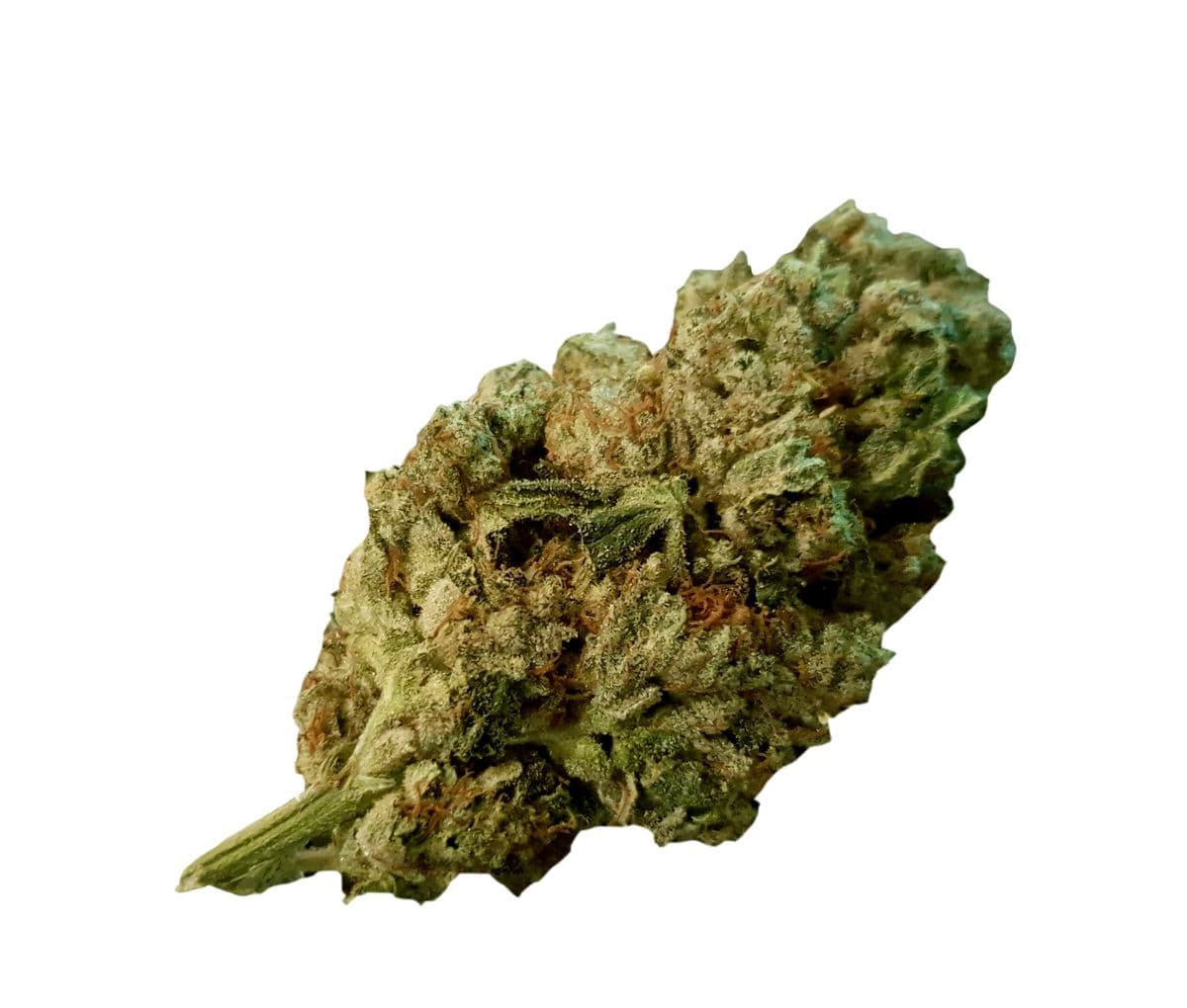 Tilray THC 22 Spotlight Porto - Gorilla Glue