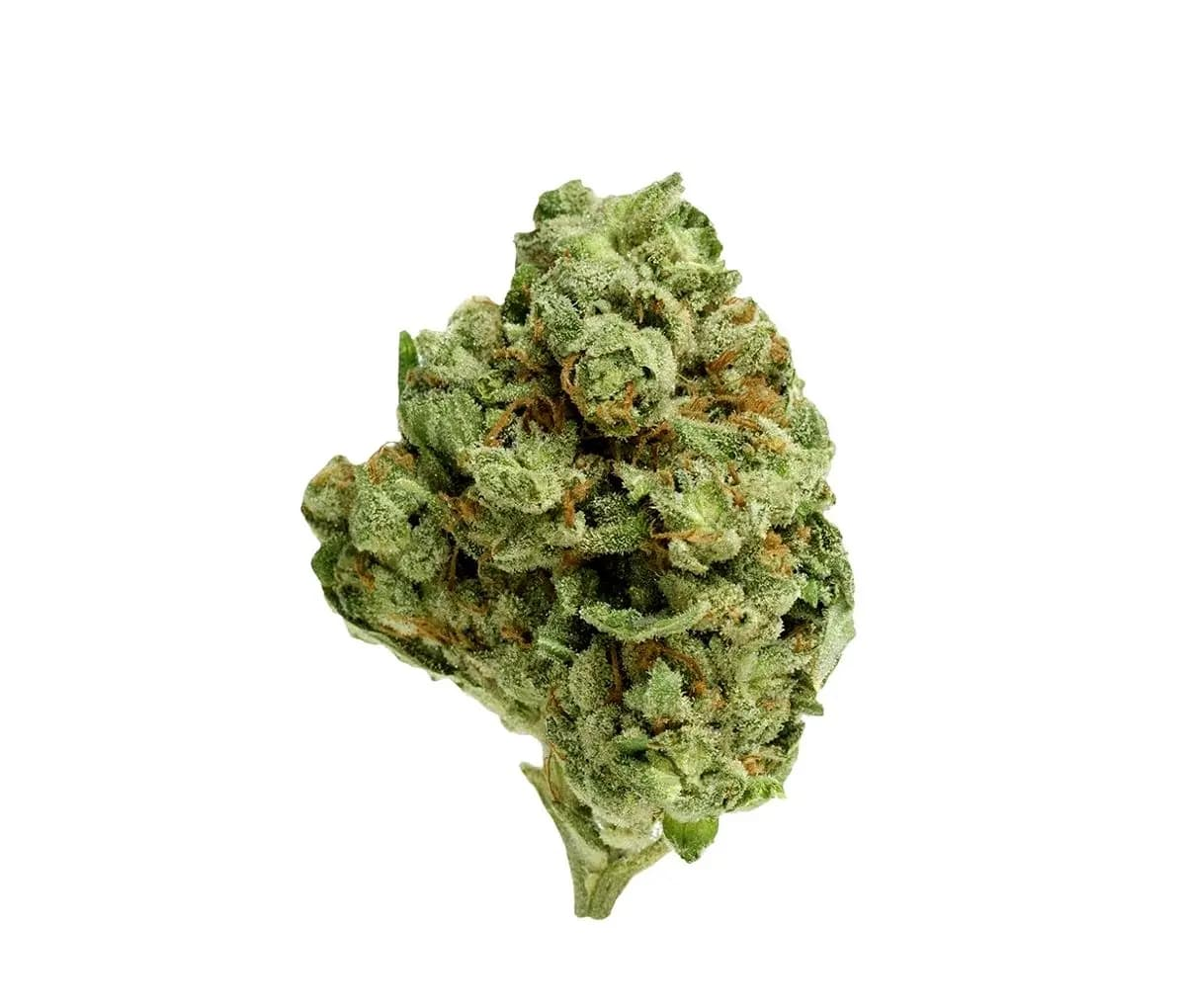 enua 25/1 GTH - Ghost Train Haze enua 25/1 GTH - Ghost Train Haze