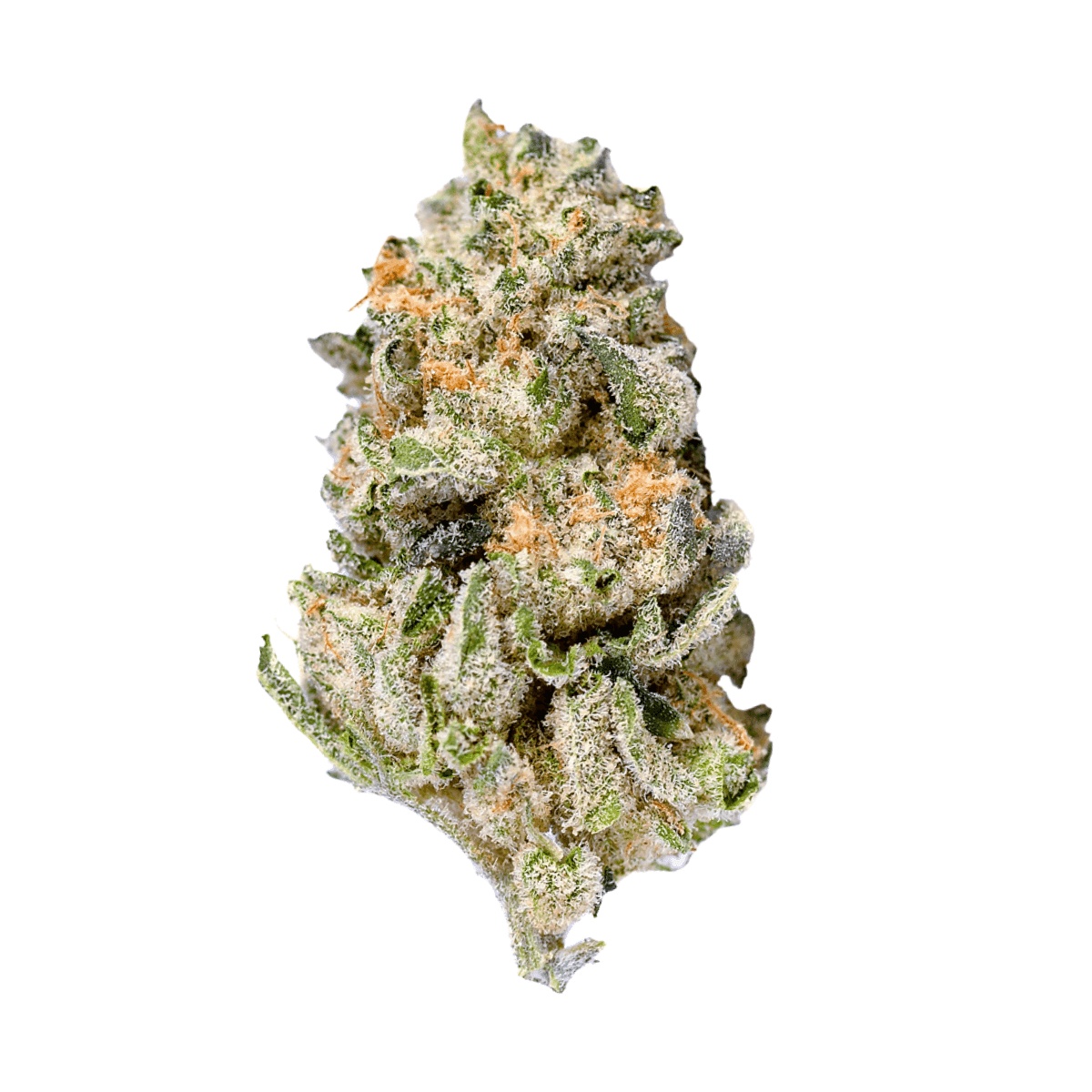Eufloria 33/1 LBA - LA Baker I Cannazen