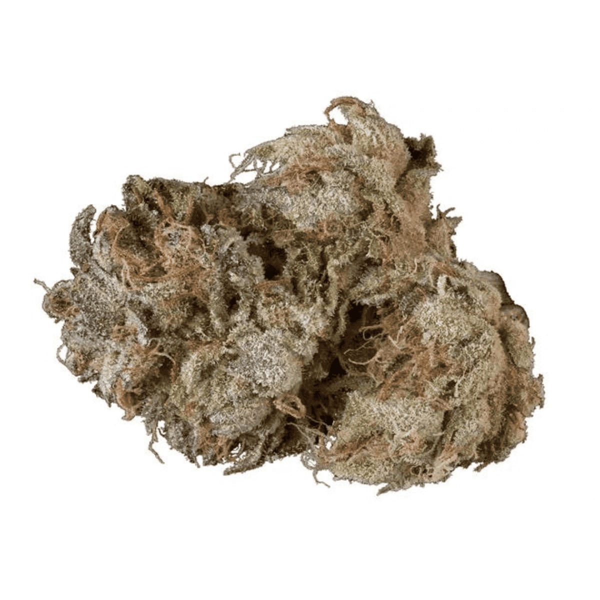 Cannamedical CM 32/1 EBK - 8 Ball Kush I Cannazen Cannamedical CM 32/1 EBK - 8 Ball Kush I Cannazen