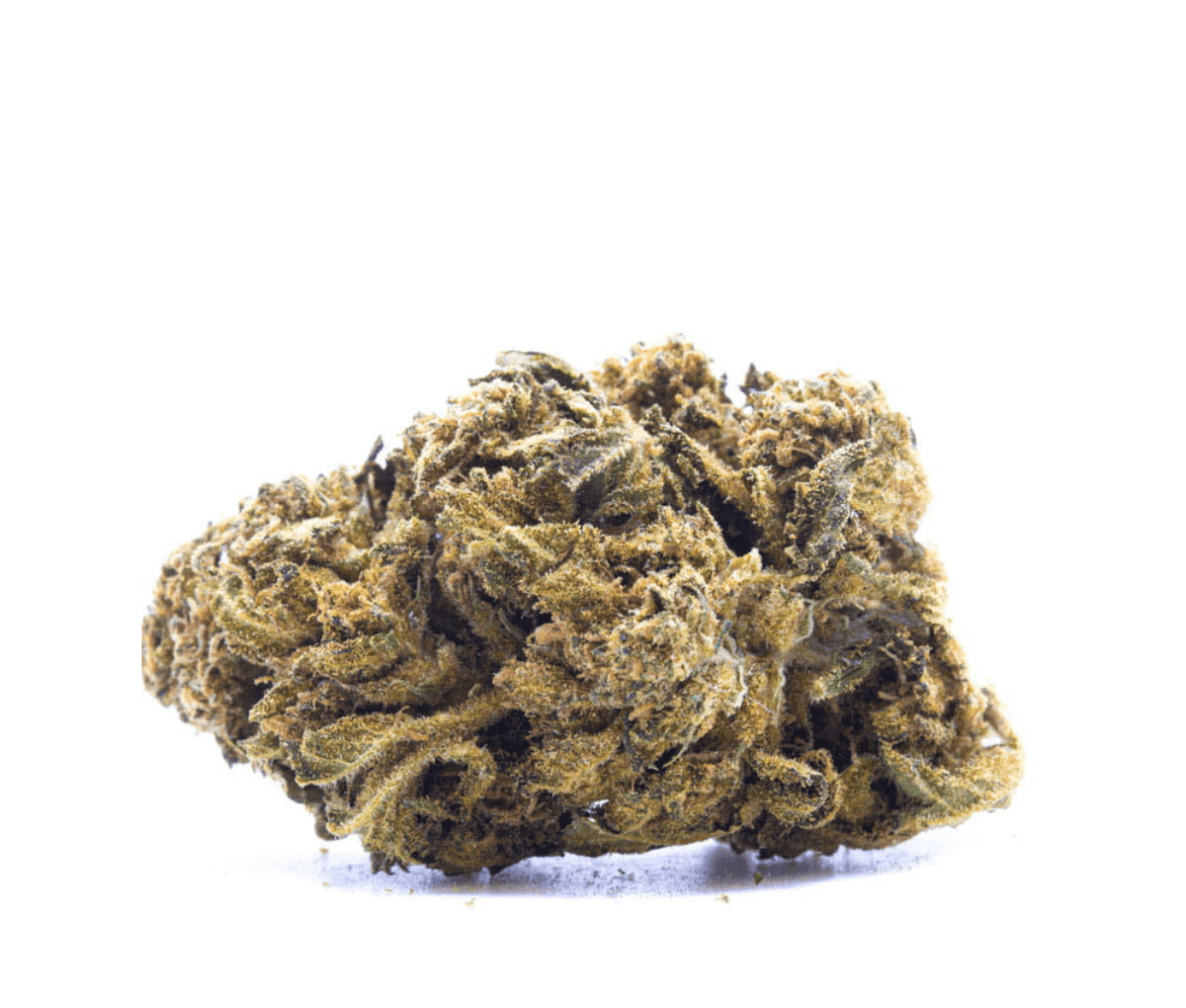 Aurora 22/1 - Dela Haze Aurora 22/1 - Dela Haze