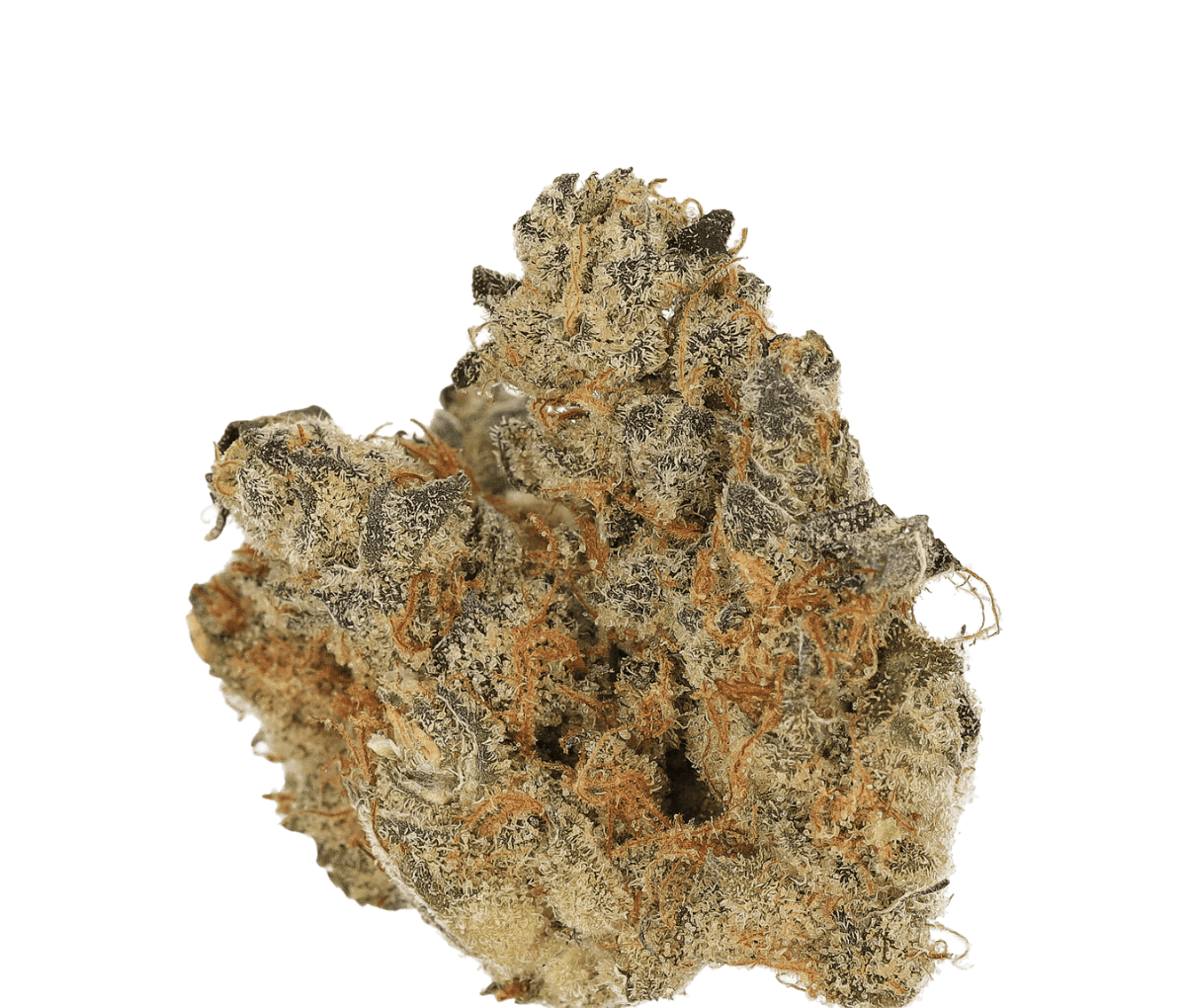 Cannamedical CM 31/1 SPC - Space Cake