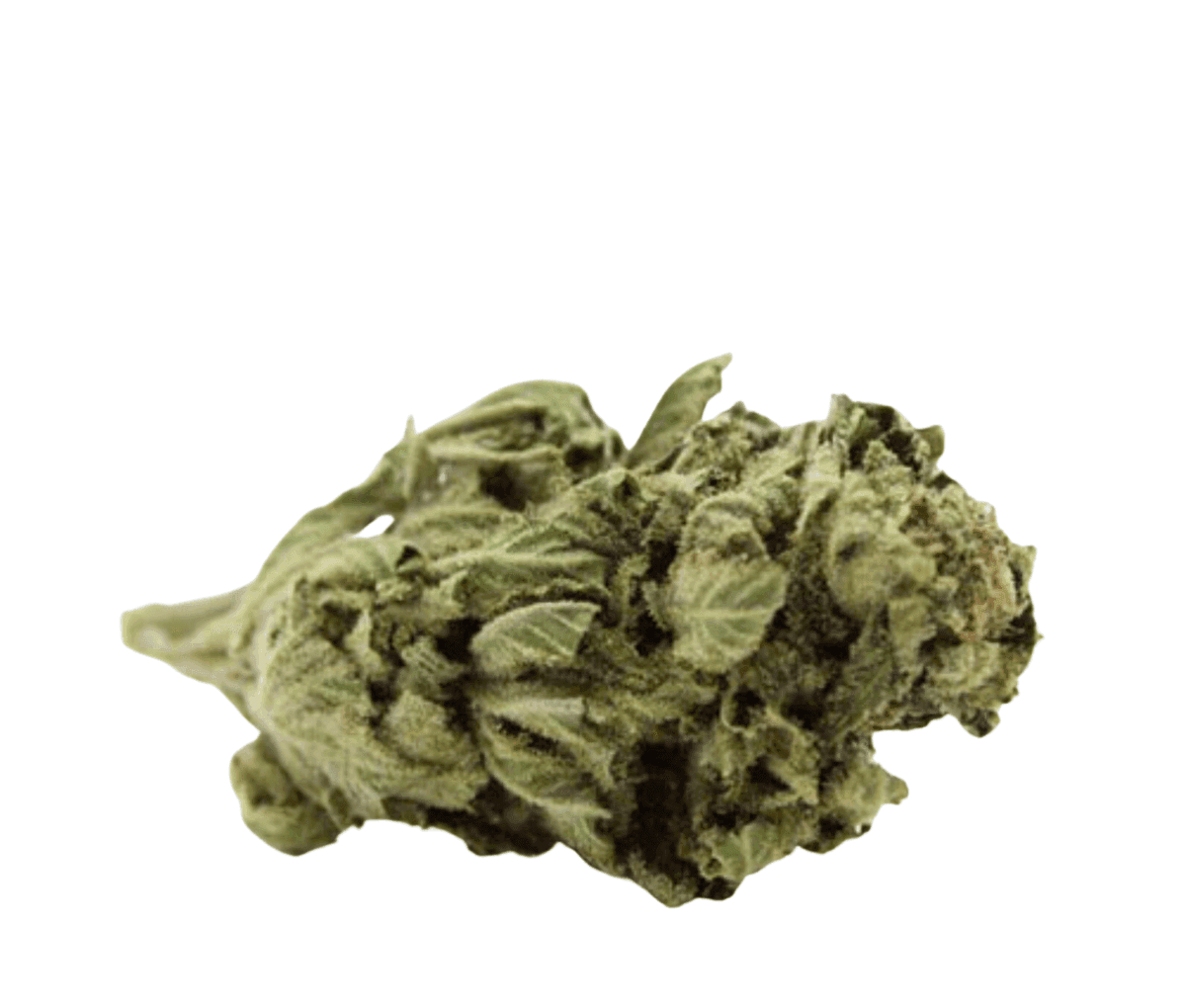Tweed 22/1- Jack Herrer