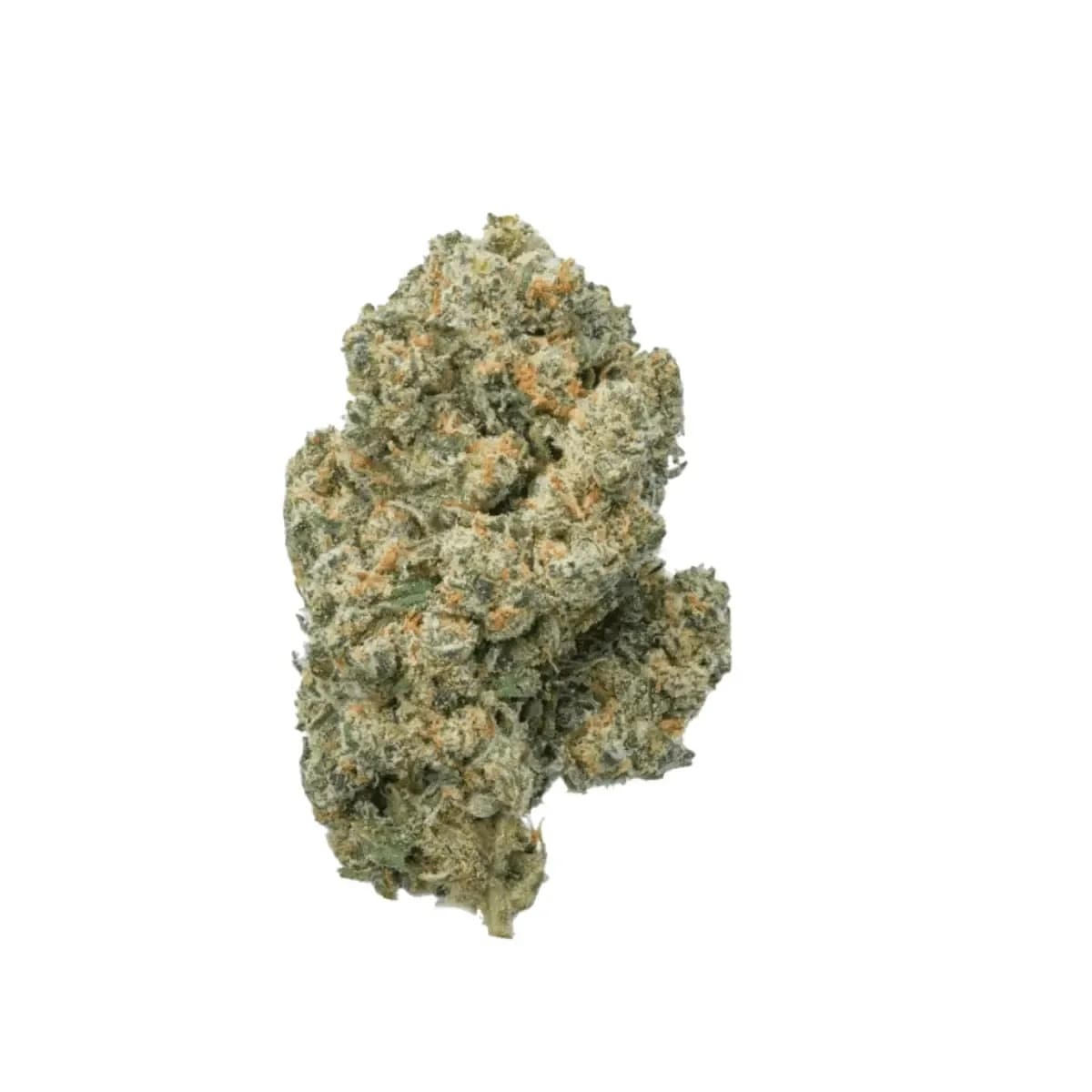 Cannamedical Sativa Forte SA - Jack Herer I Cannazen Cannamedical Sativa Forte SA - Jack Herer I Cannazen