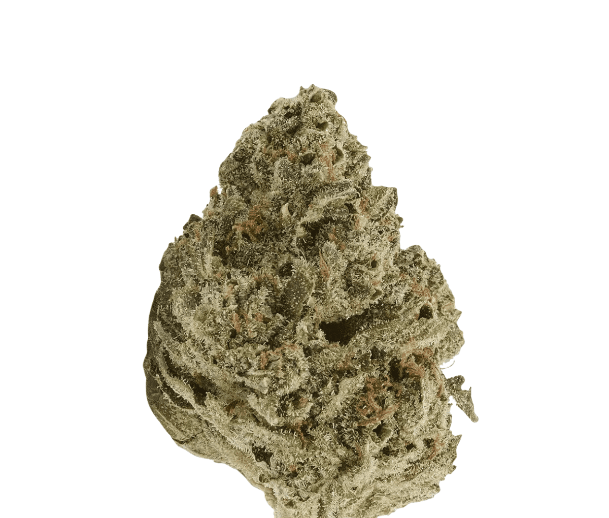 Demecan Craft Pulso 31:01 - Liquid Imagination