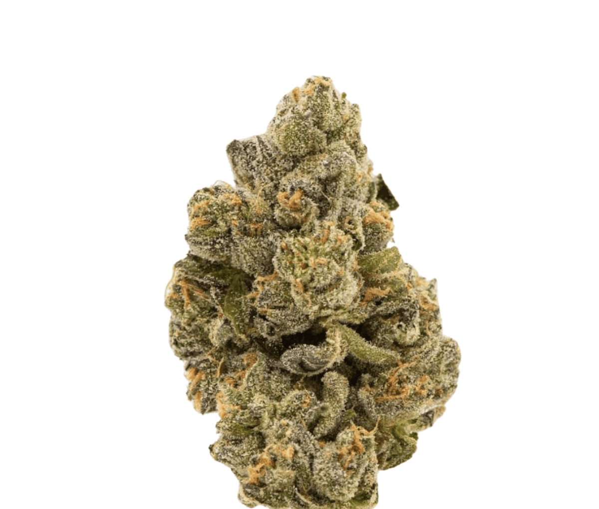 Demecan HS Light Drop Rainbow Dawg