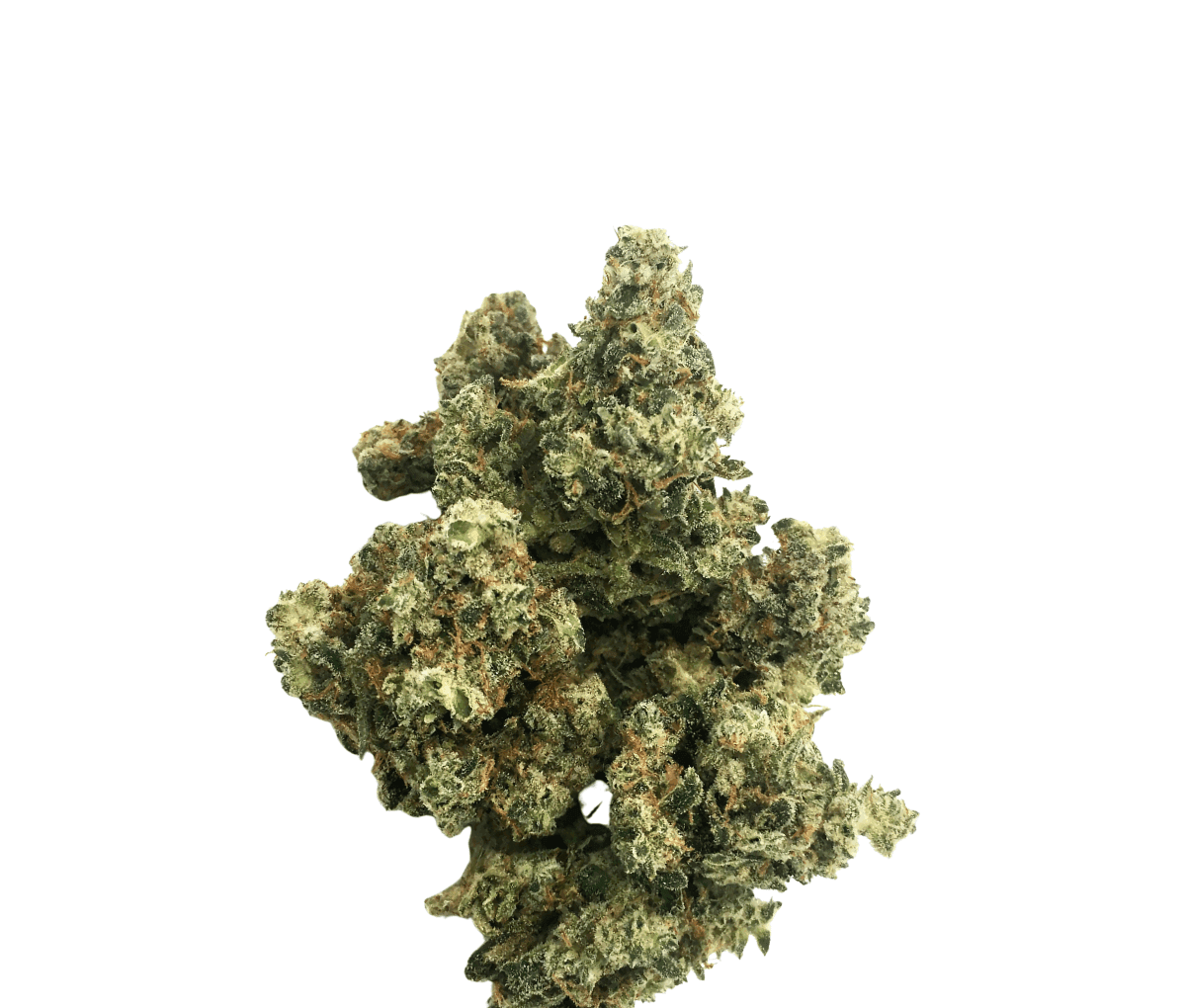 Good Supply Cannabisblüten THC22 IIM - Inzane in the Membrane