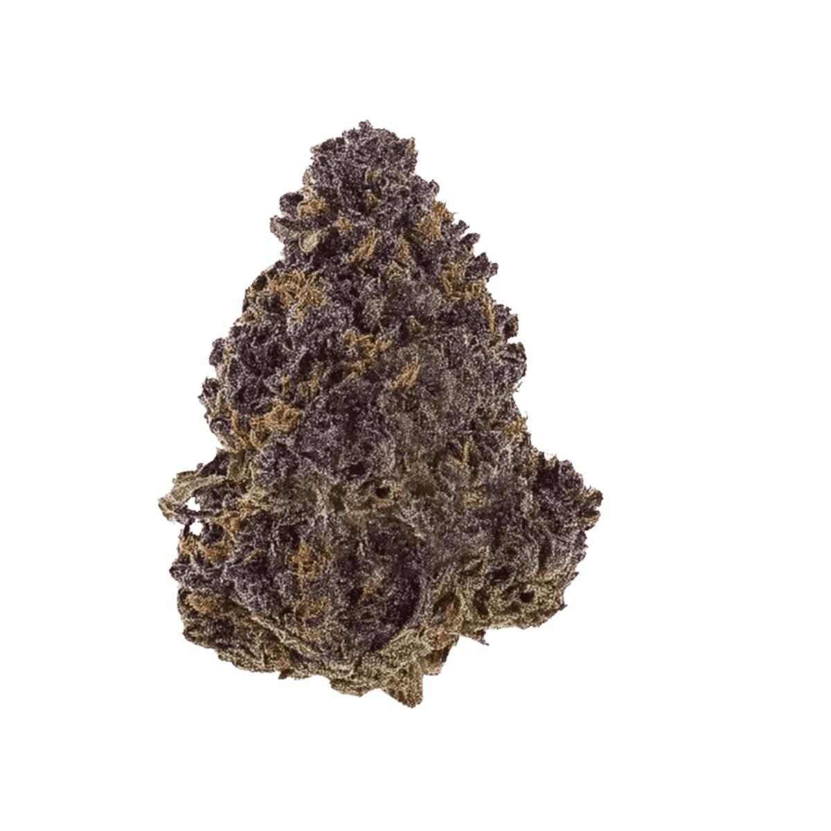 Medical Saints 24/1 HUB - Huckleberry I Cannazen