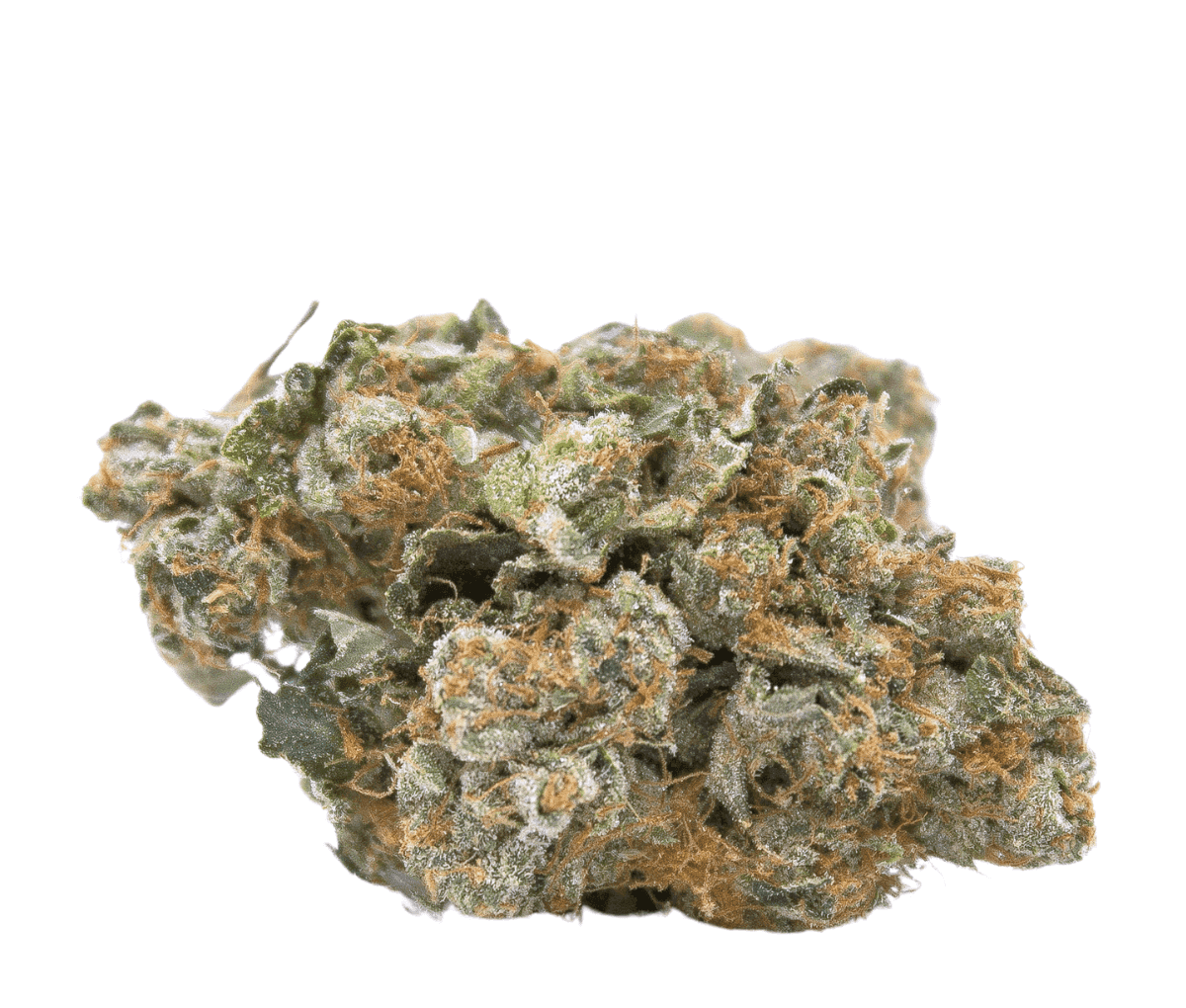 Cannamedical CM 24/1 - Hindu Kush