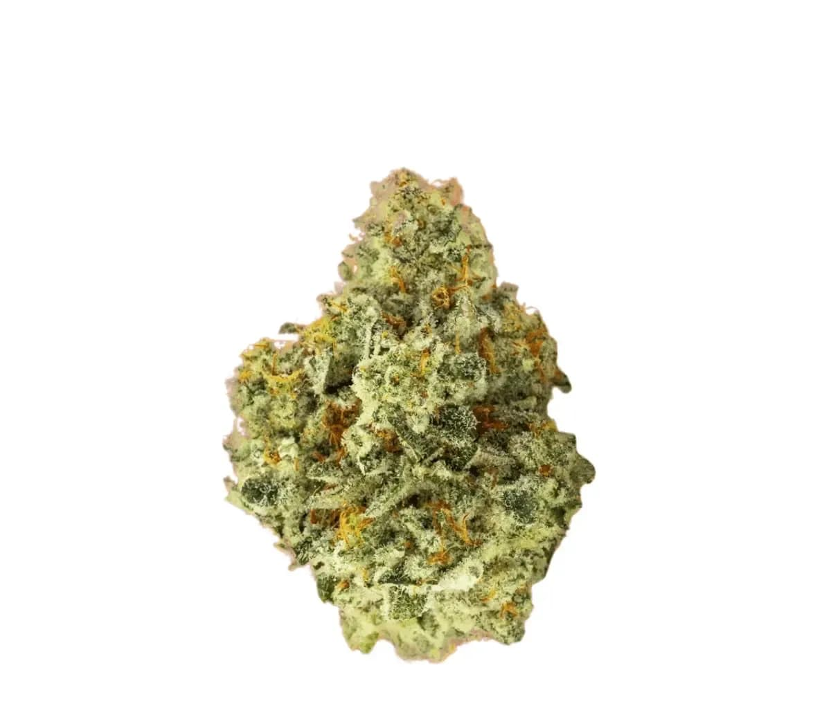 Enua 22/1 SAM CA - Super Alien Mints