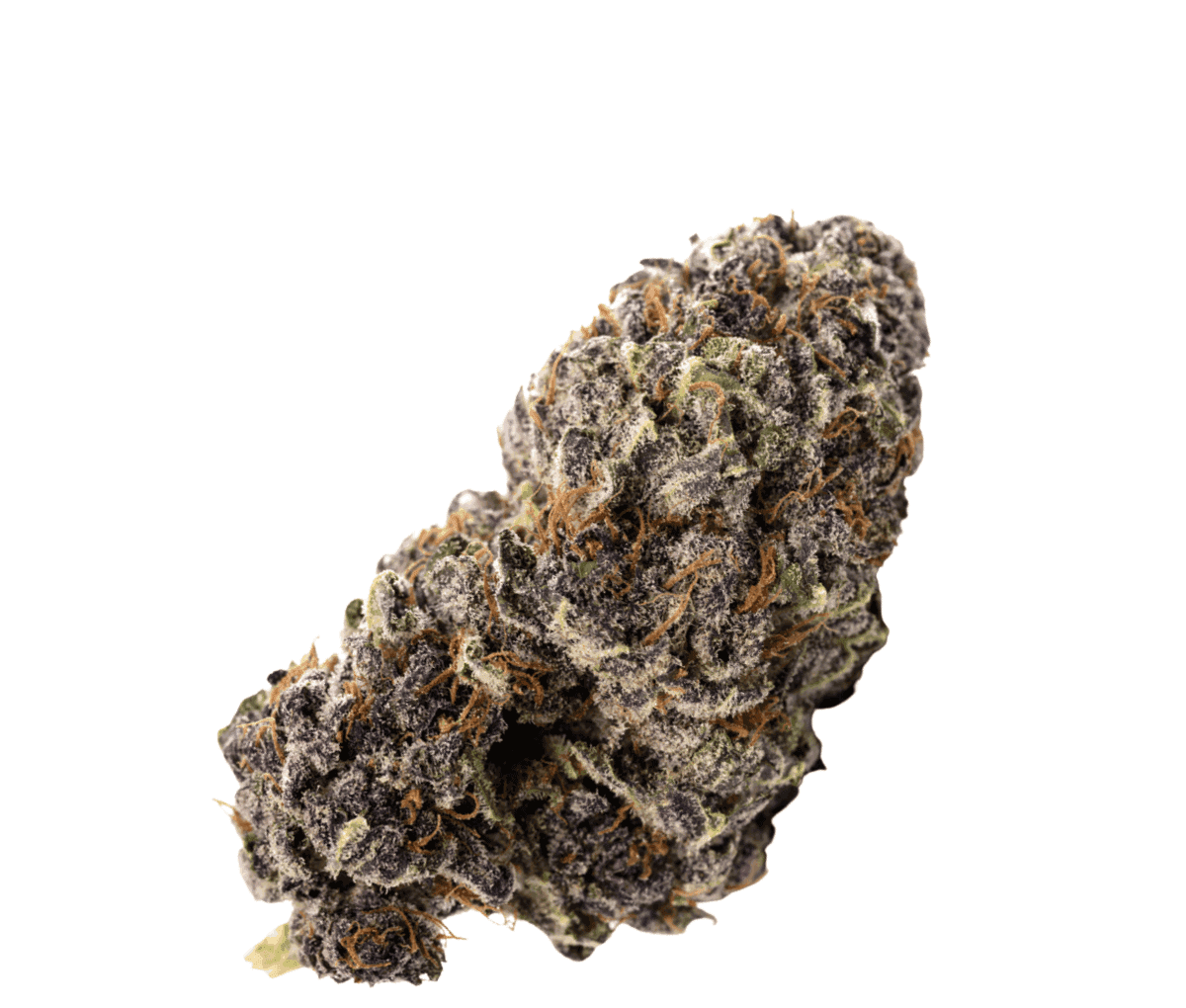 enua 27/1 ZKM CA - Zkittlez Kushmints