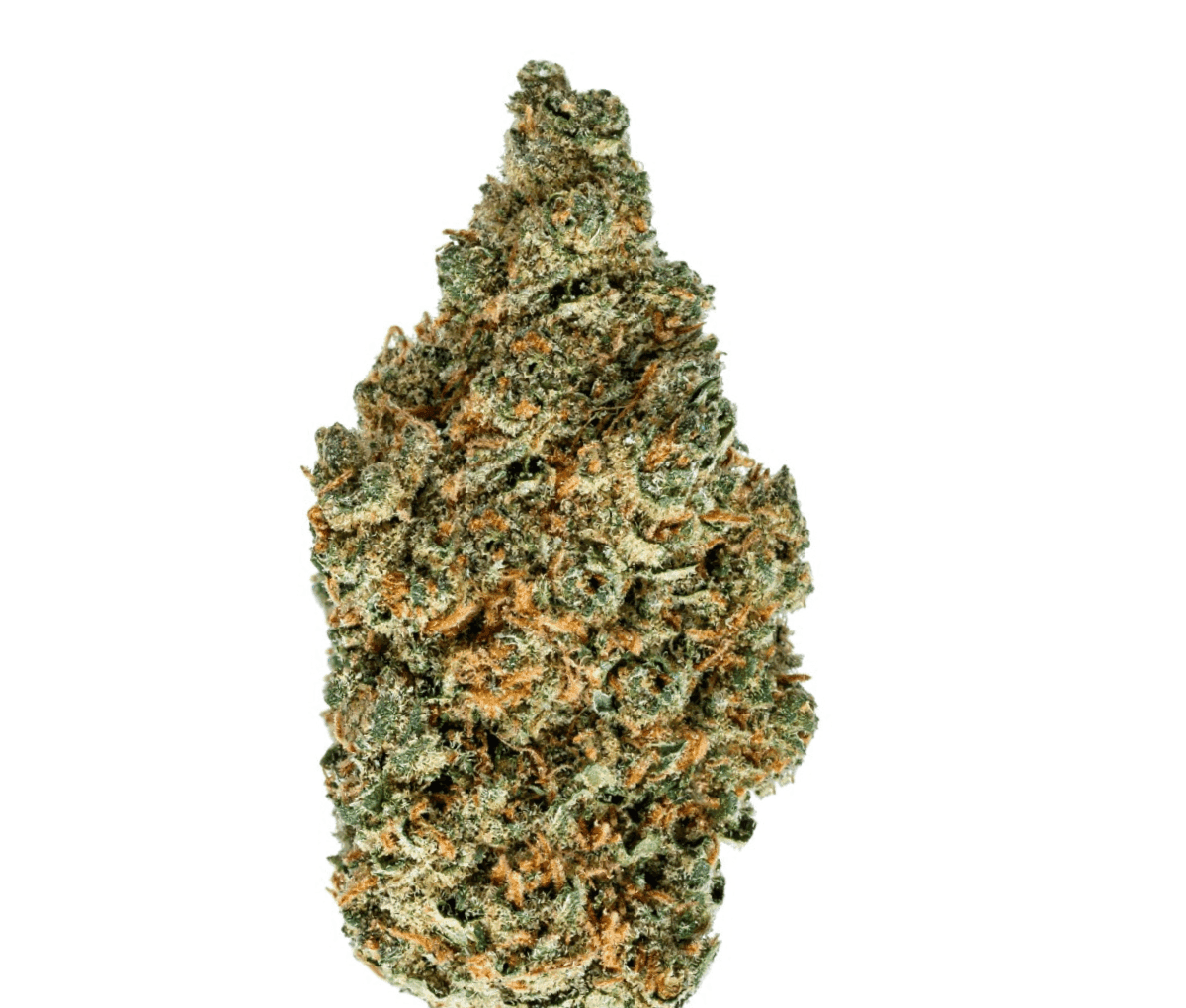 enua 22/1 EG CA Electric Grapefruit enua 22/1 EG CA Electric Grapefruit