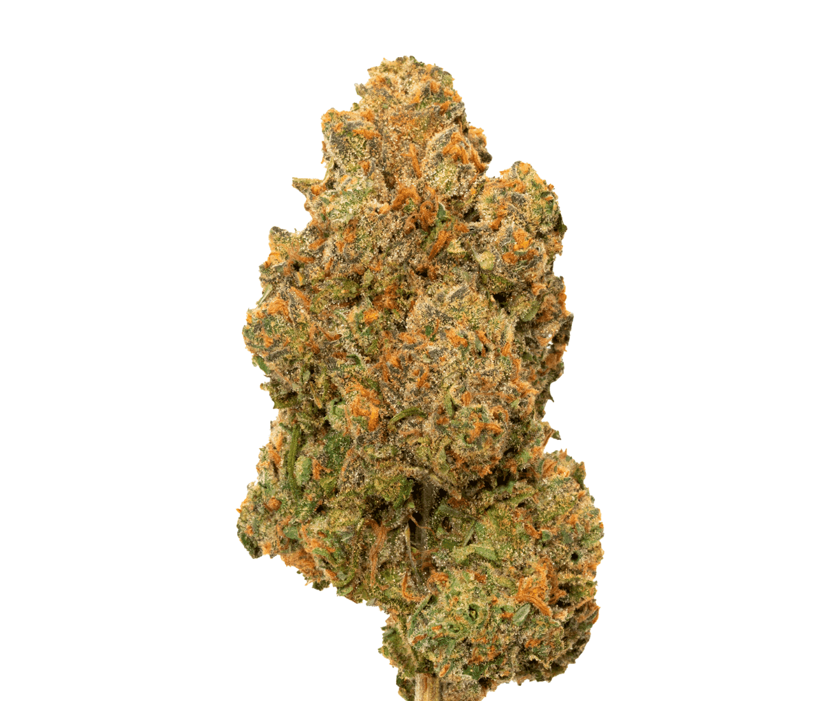 Avaay 20/1 PNK - Pineapple Nuken Avaay 20/1 PNK - Pineapple Nuken