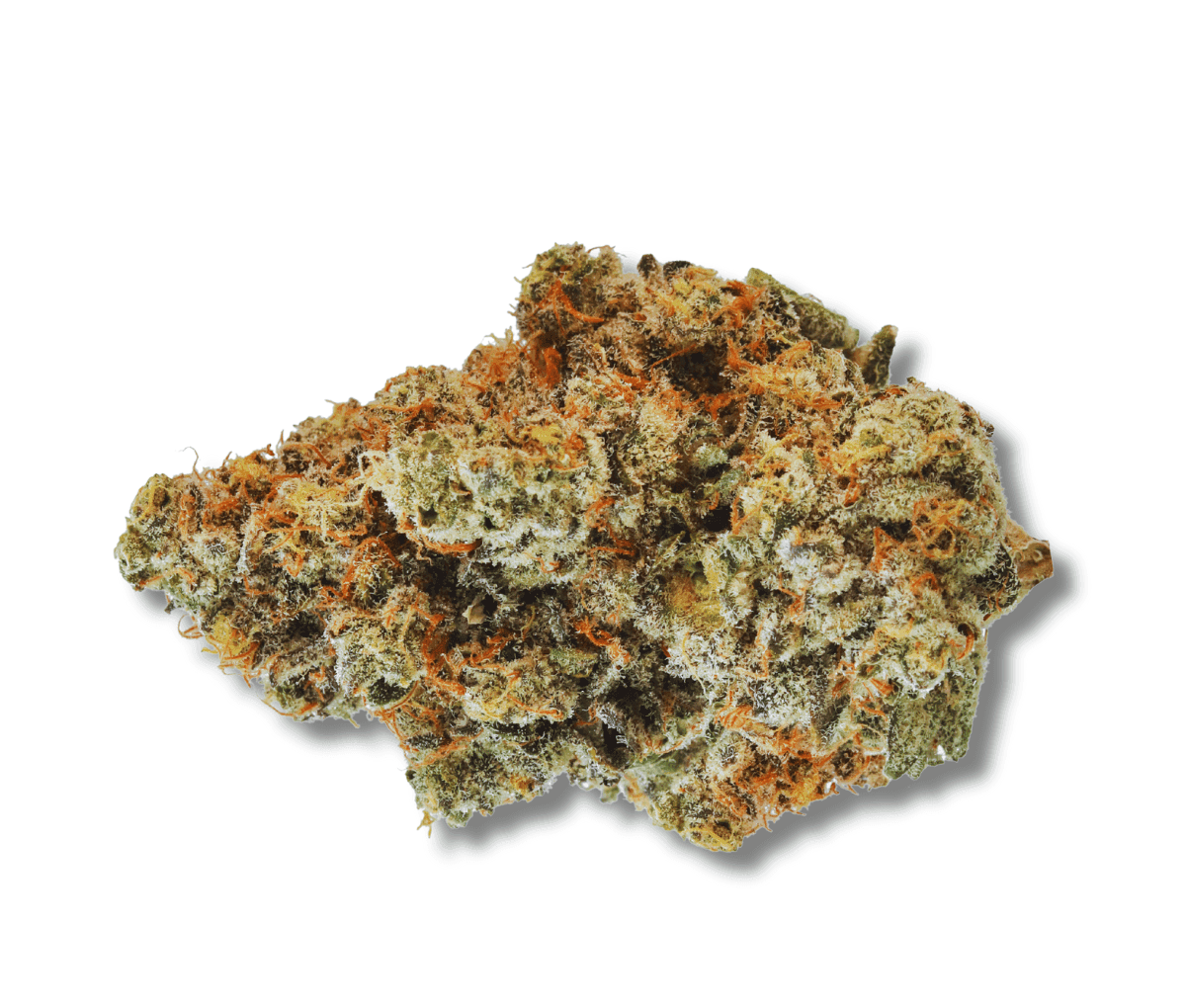 420 Evolution 25/1 CA WES - Wedding Singer 420 Evolution 25/1 CA WES - Wedding Singer