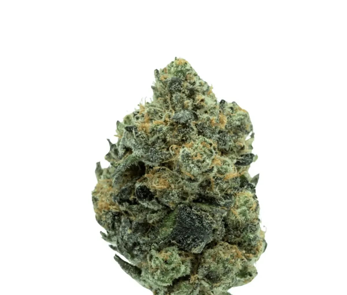 TRUU GT 28:01 Cookies OG TRUU GT 28:01 Cookies OG